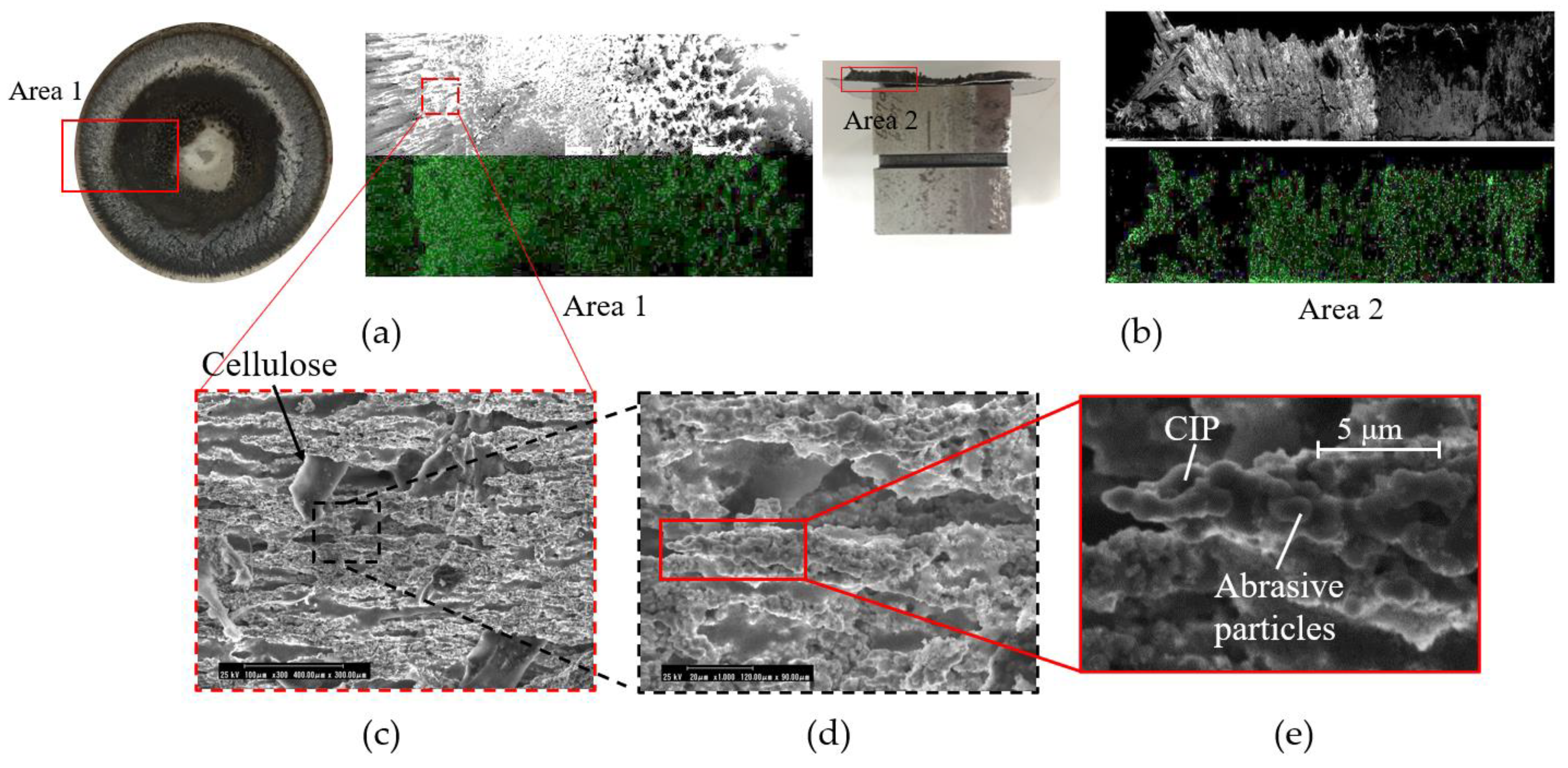 Lubricants 10 00232 g008 550
