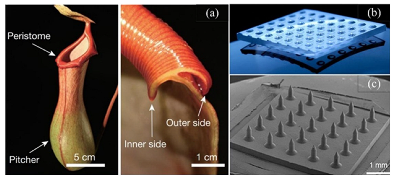 Lubricants 10 00237 g001 Lubricants 10 00237 g001