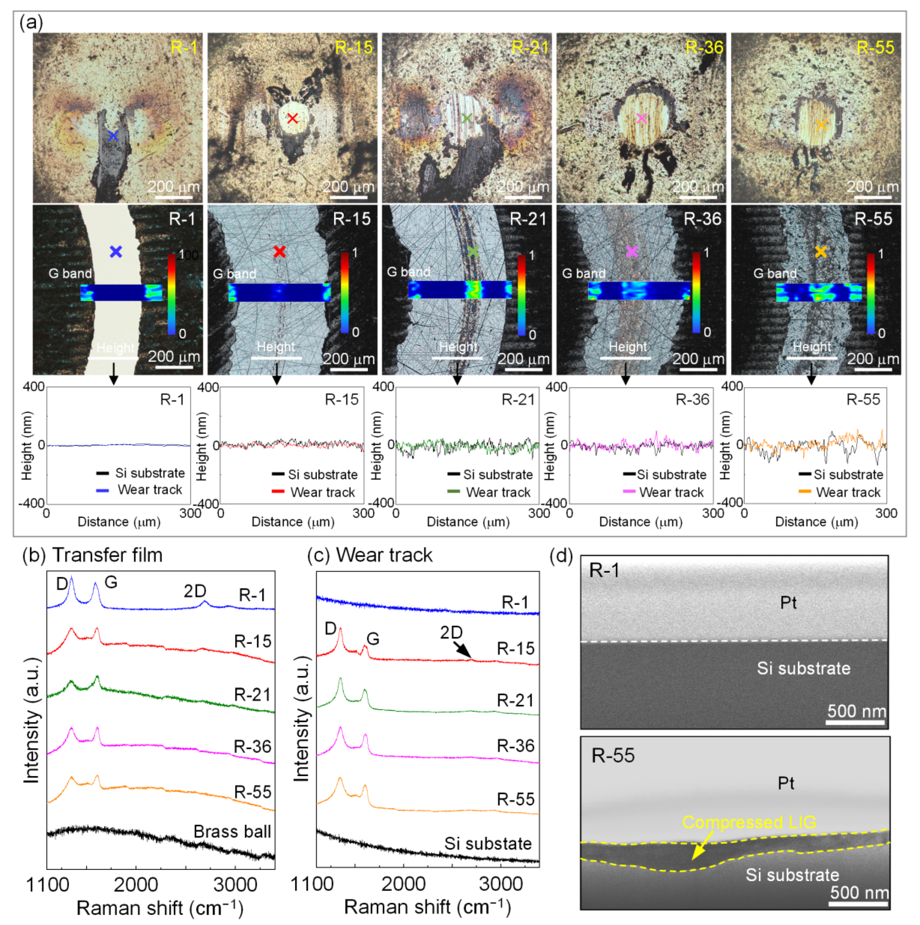 Lubricants 10 00239 g005