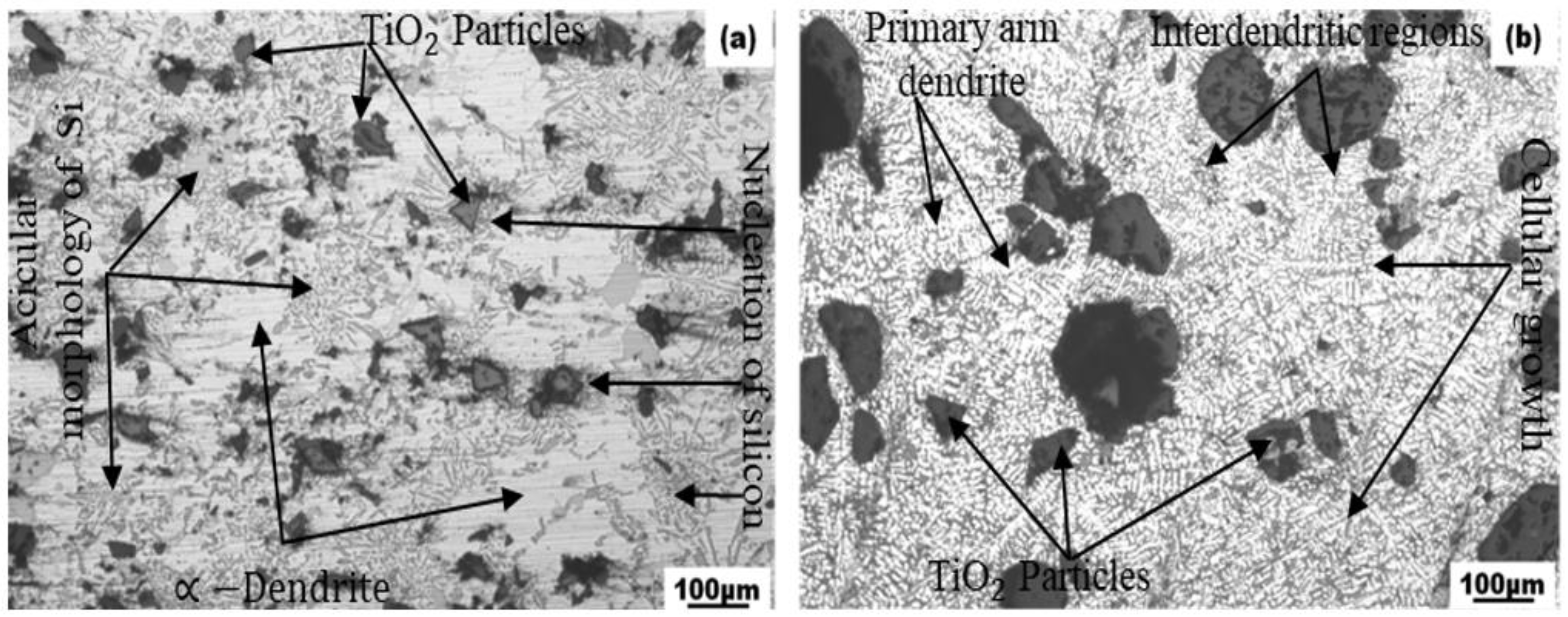 Lubricants 10 00251 g003