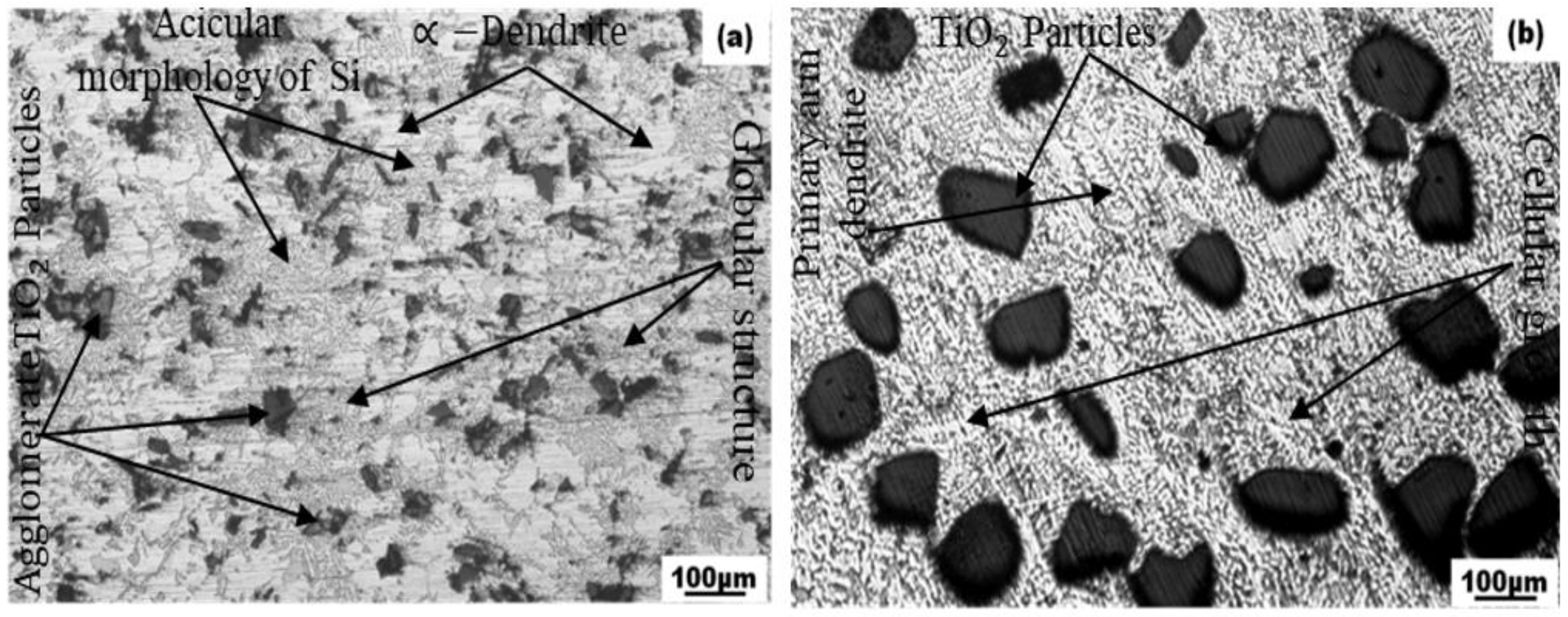 Lubricants 10 00251 g004