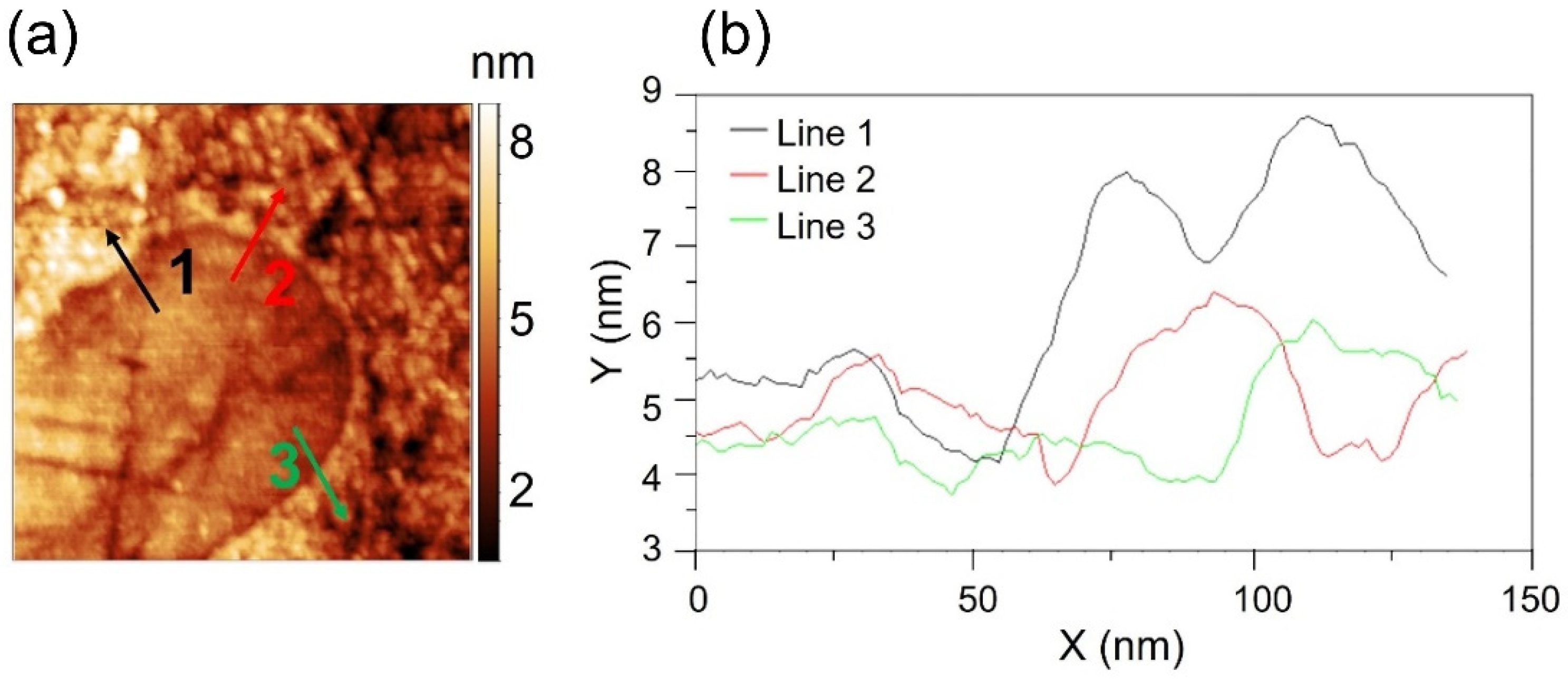Lubricants 10 00253 g006 Lubricants 10 00253 g006
