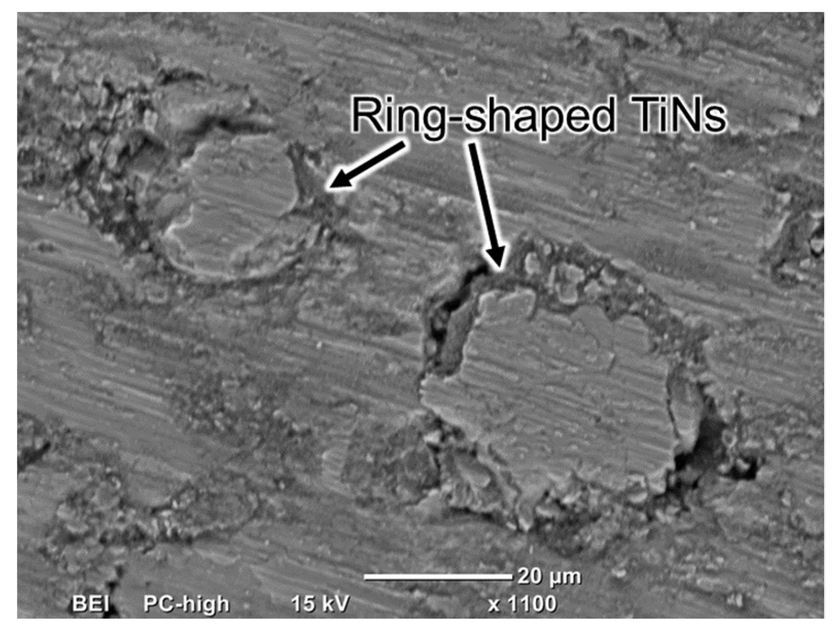 Lubricants 10 00254 g009