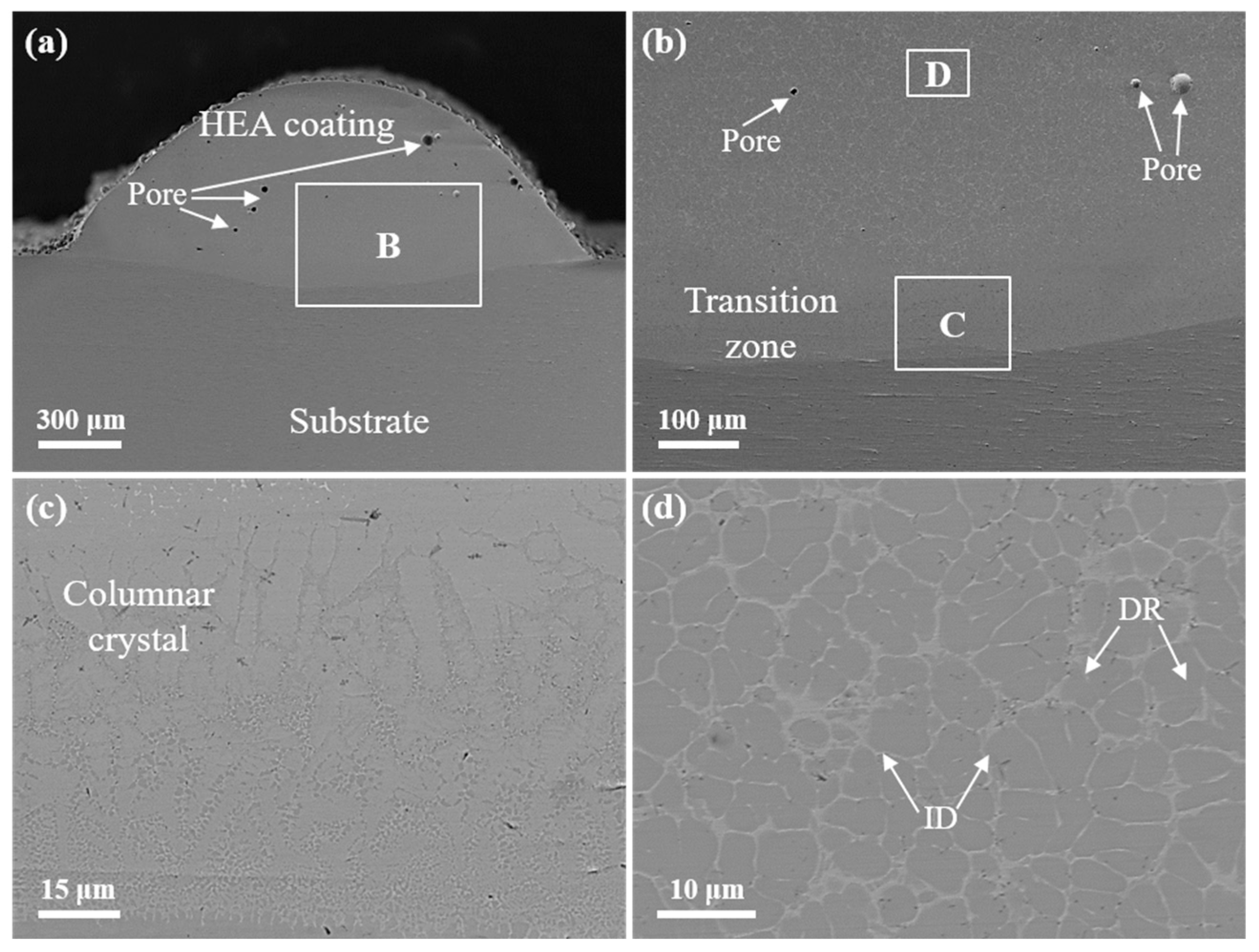 Lubricants 10 00263 g003 Lubricants 10 00263 g003