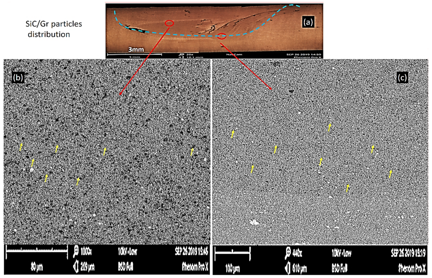 Lubricants 10 00267 g006