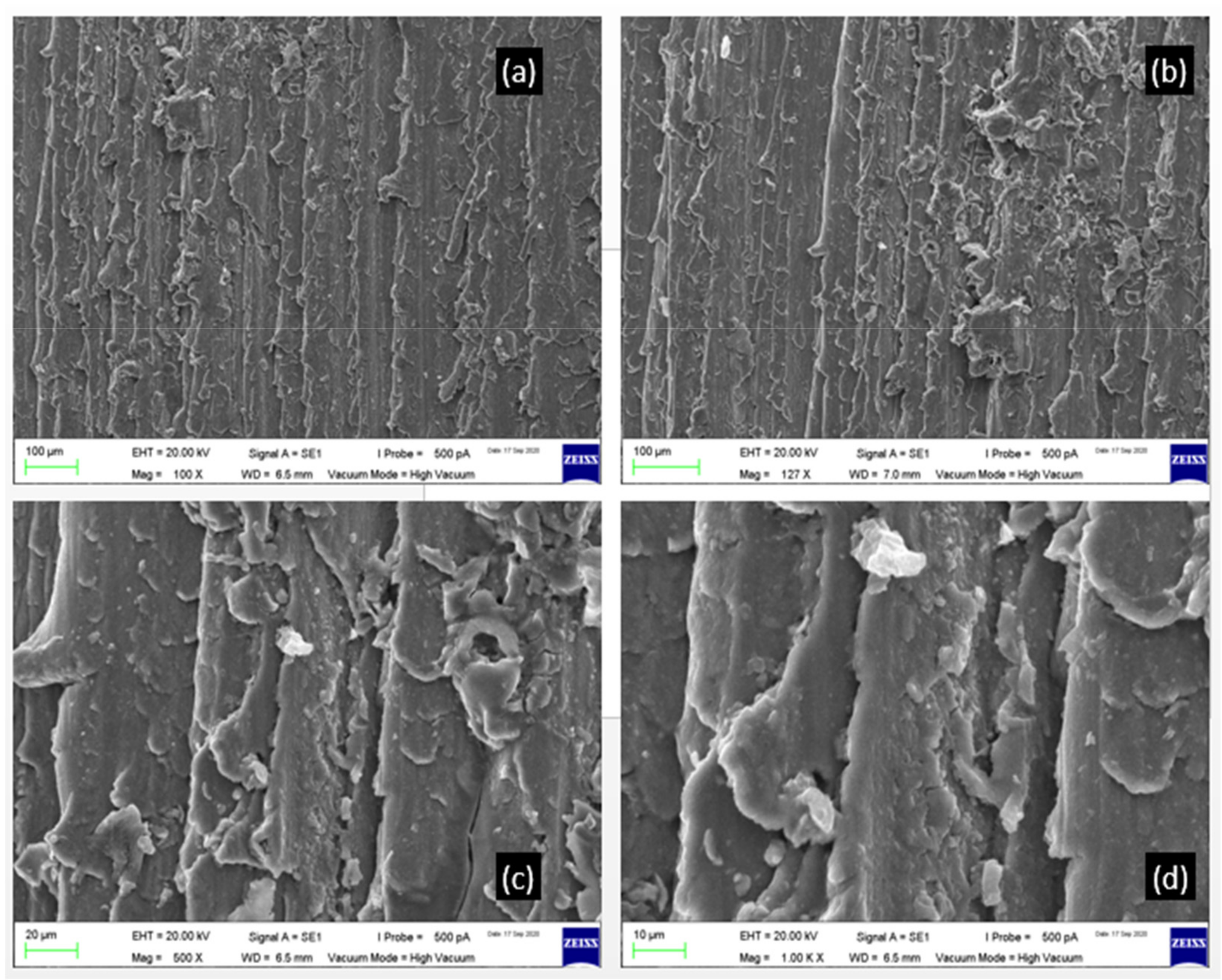 Lubricants 10 00267 g019