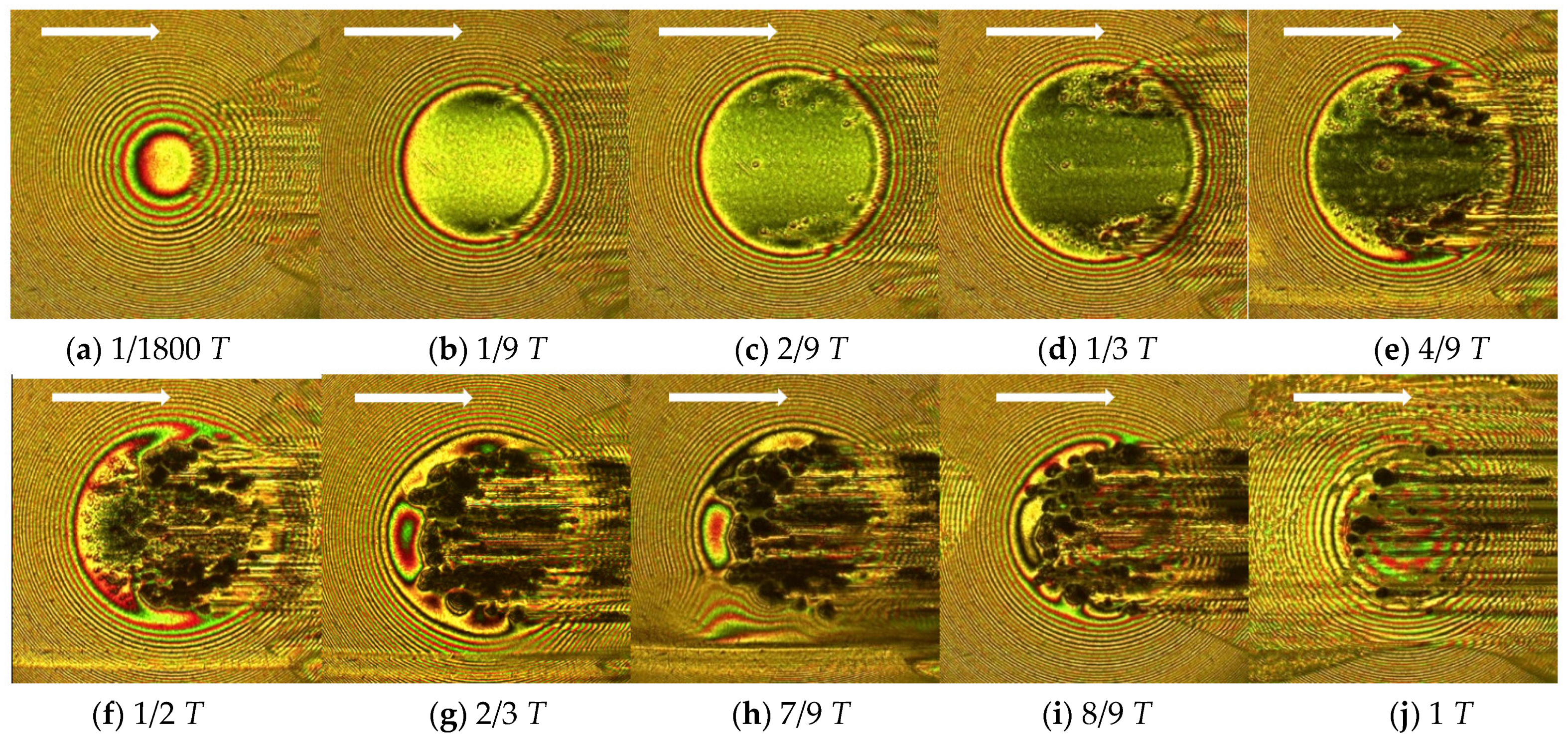 Lubricants 10 00284 g011 Lubricants 10 00284 g011