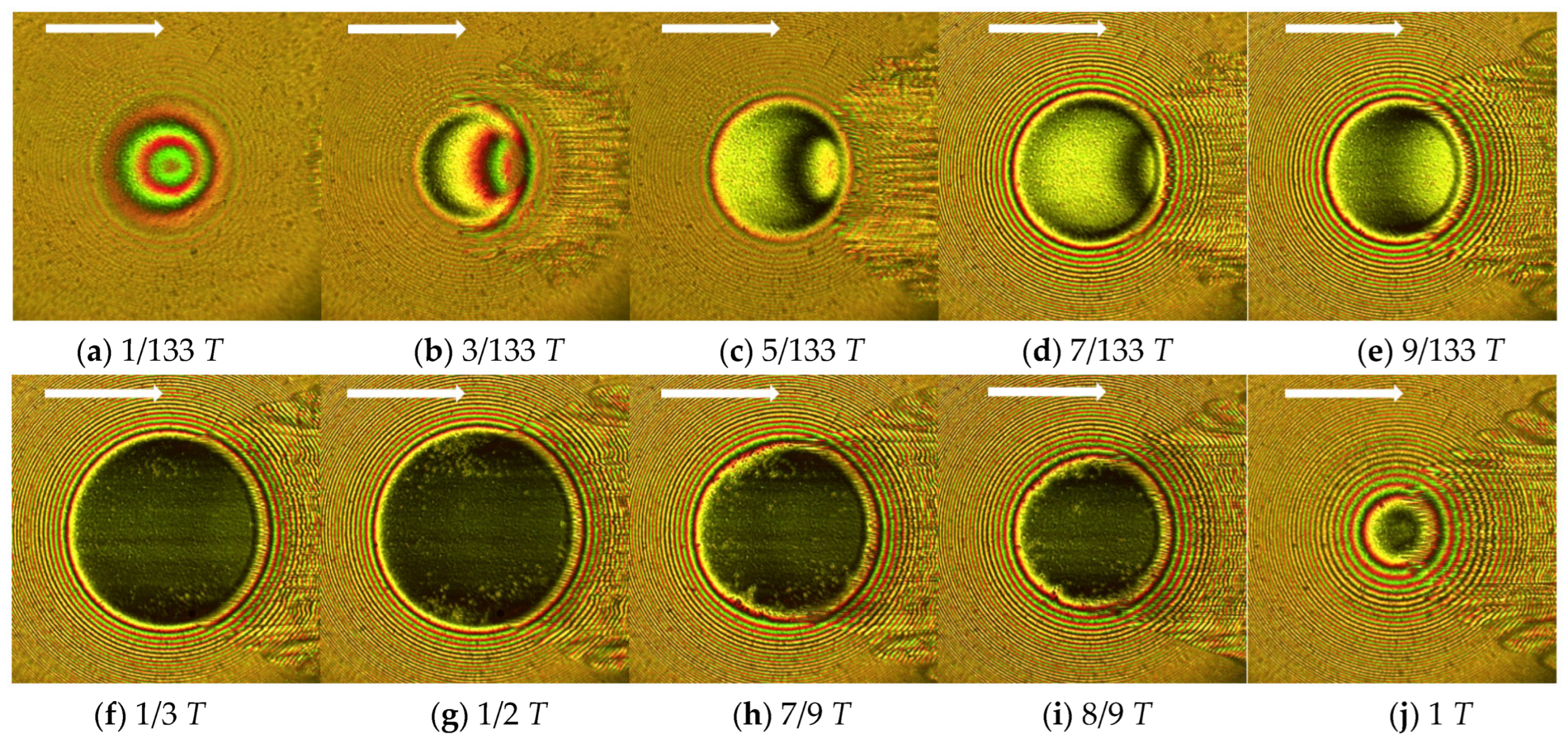 Lubricants 10 00284 g013 Lubricants 10 00284 g013