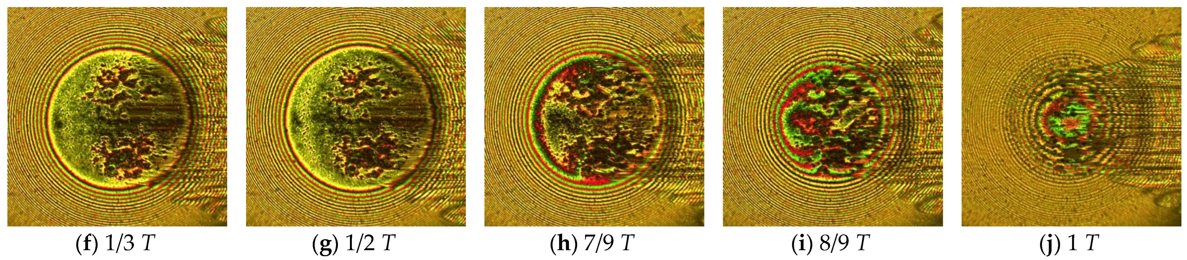Lubricants 10 00284 g015b Lubricants 10 00284 g015b