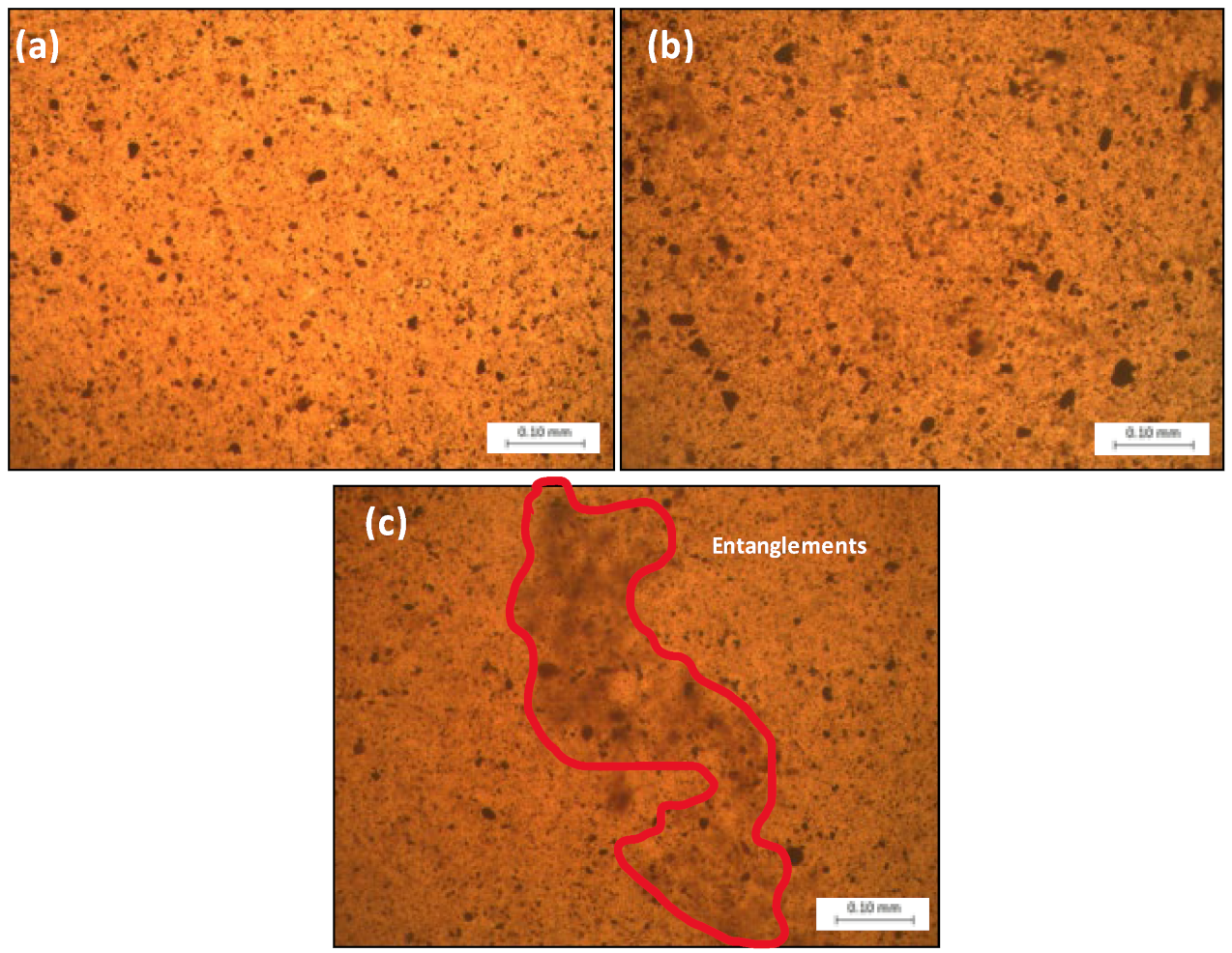 Lubricants 10 00288 g007