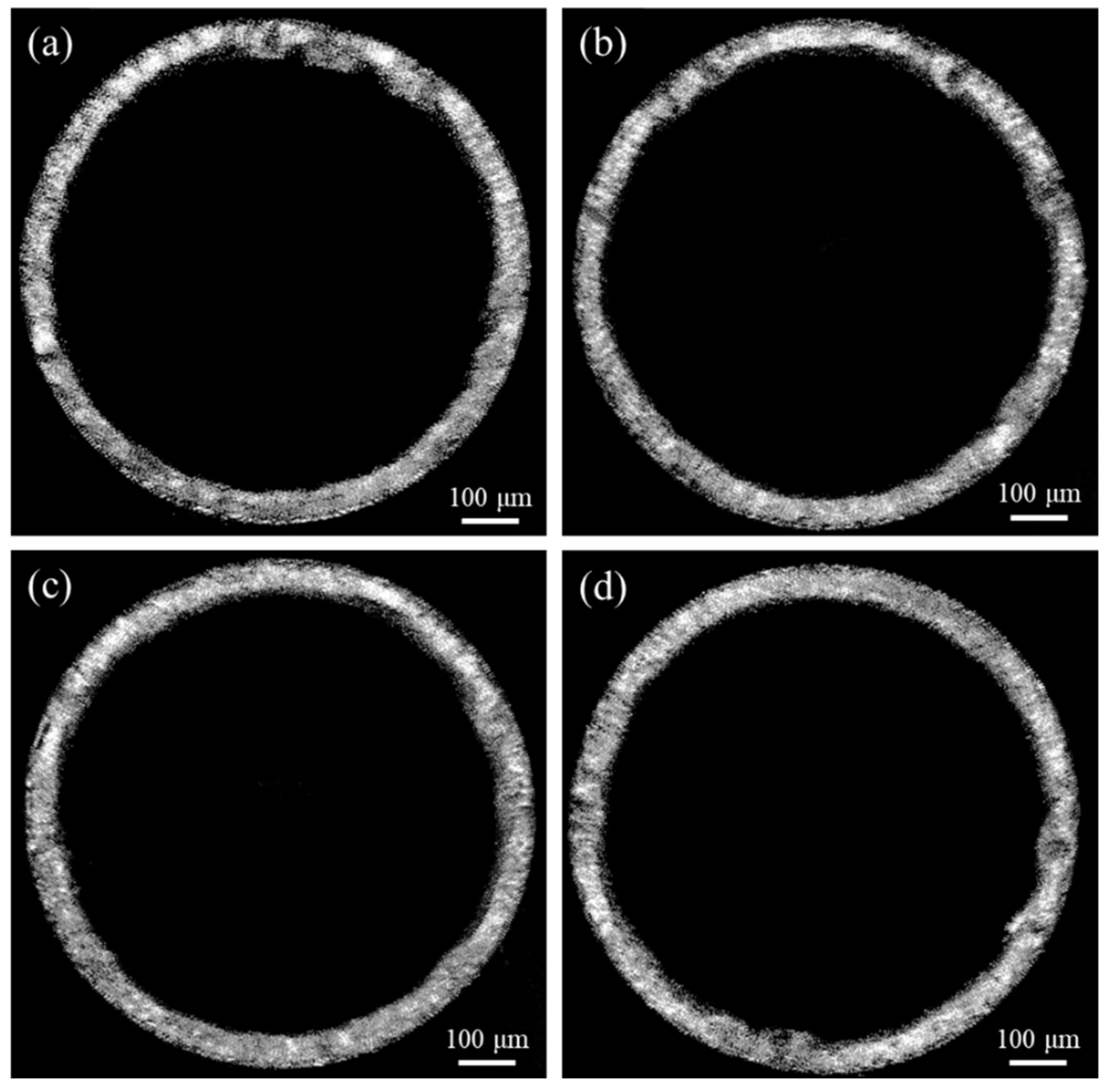 Lubricants 10 00292 g011
