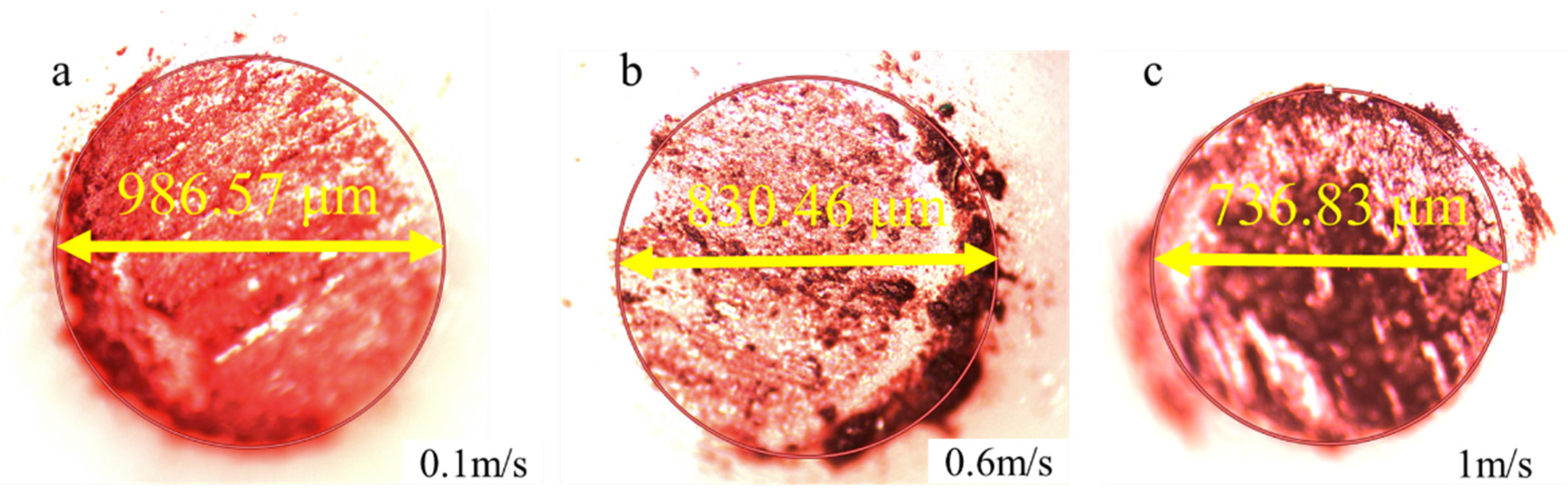 Lubricants 10 00303 g010 Lubricants 10 00303 g010