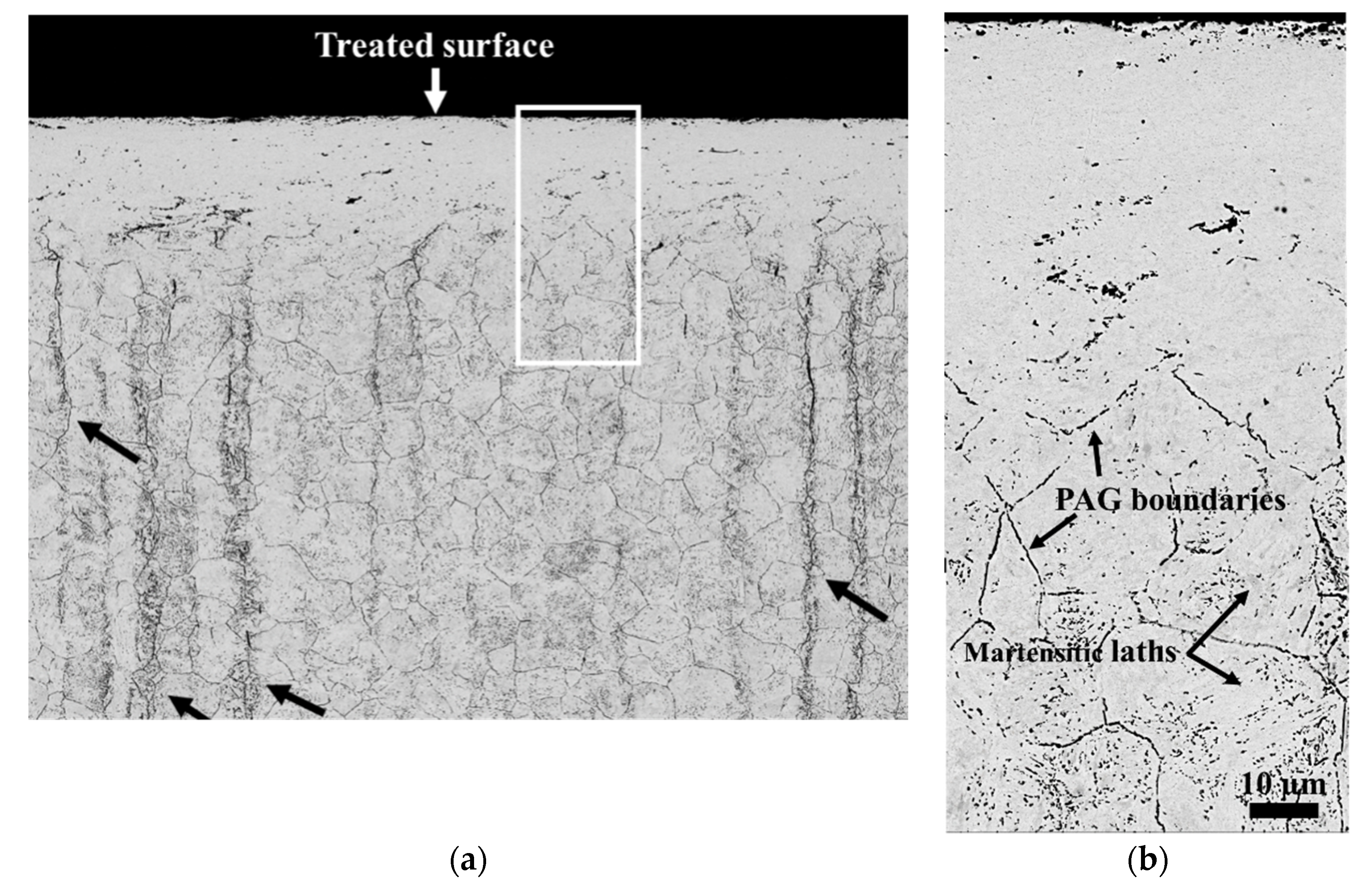 Lubricants 10 00304 g001 Lubricants 10 00304 g001