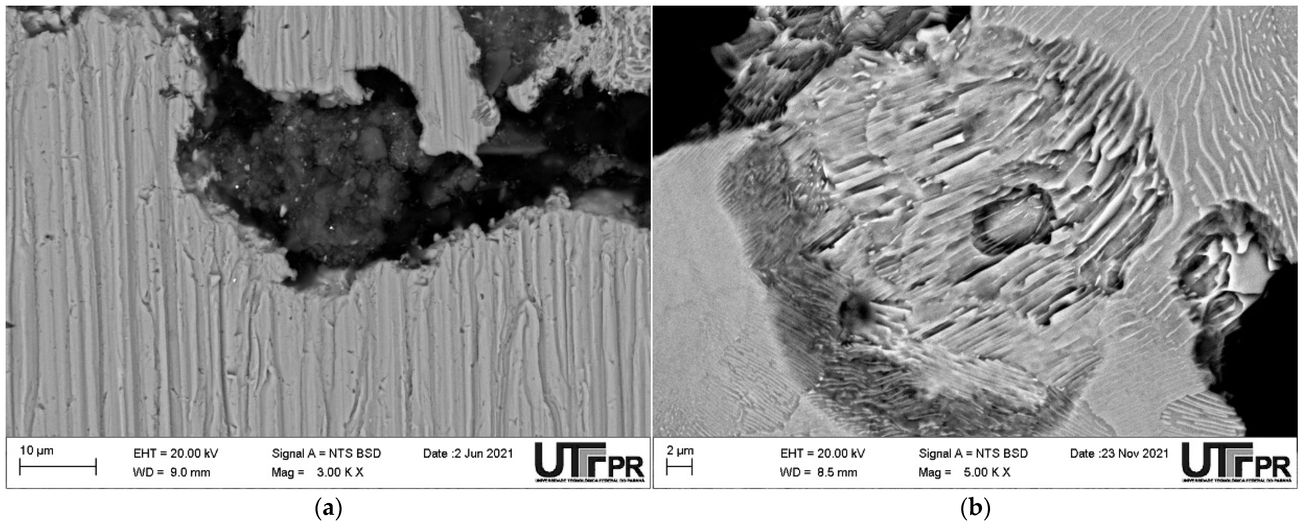 Lubricants Free FullText Abrasive Wear Resistance of HighStrength