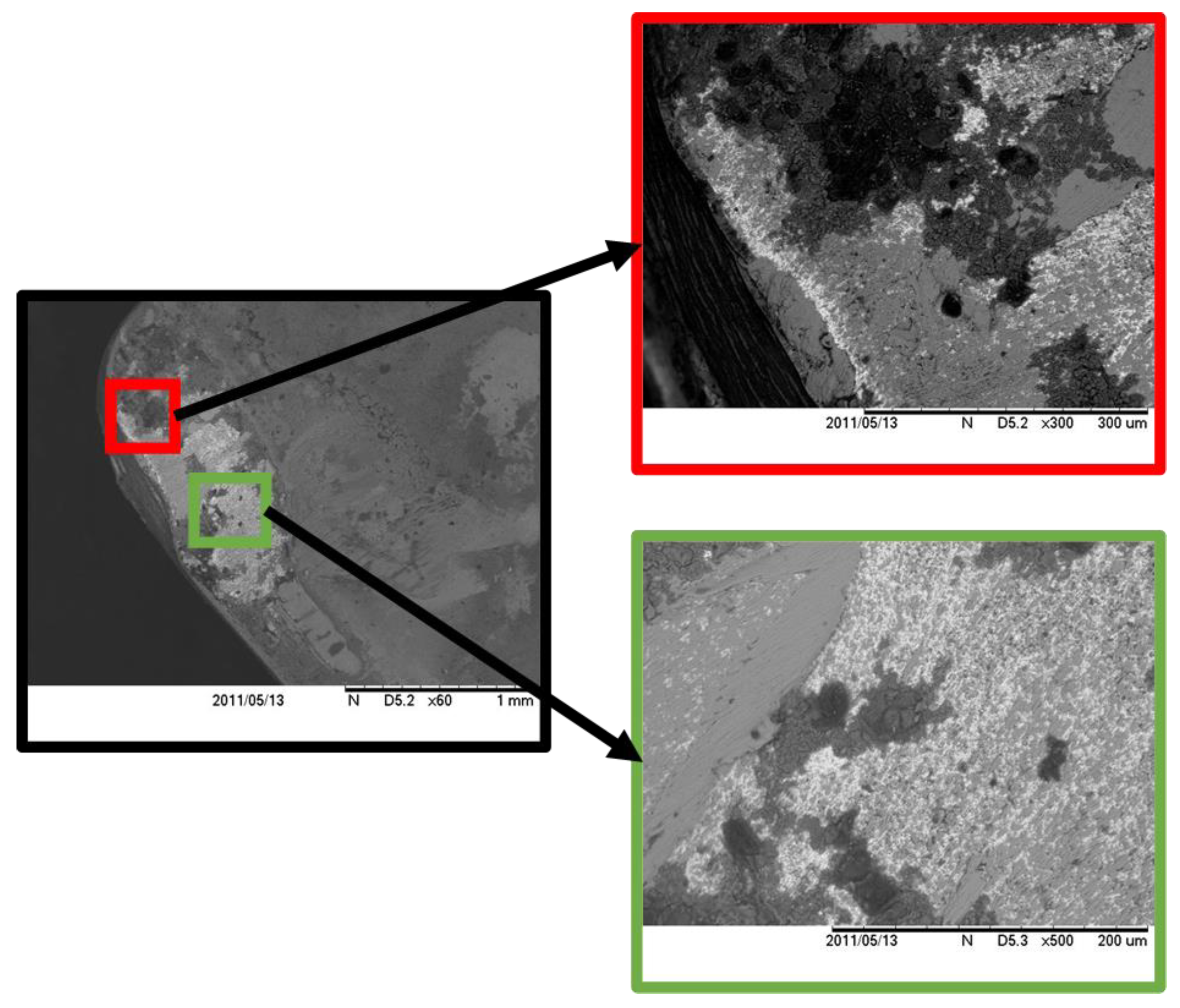 Lubricants 10 00309 g015