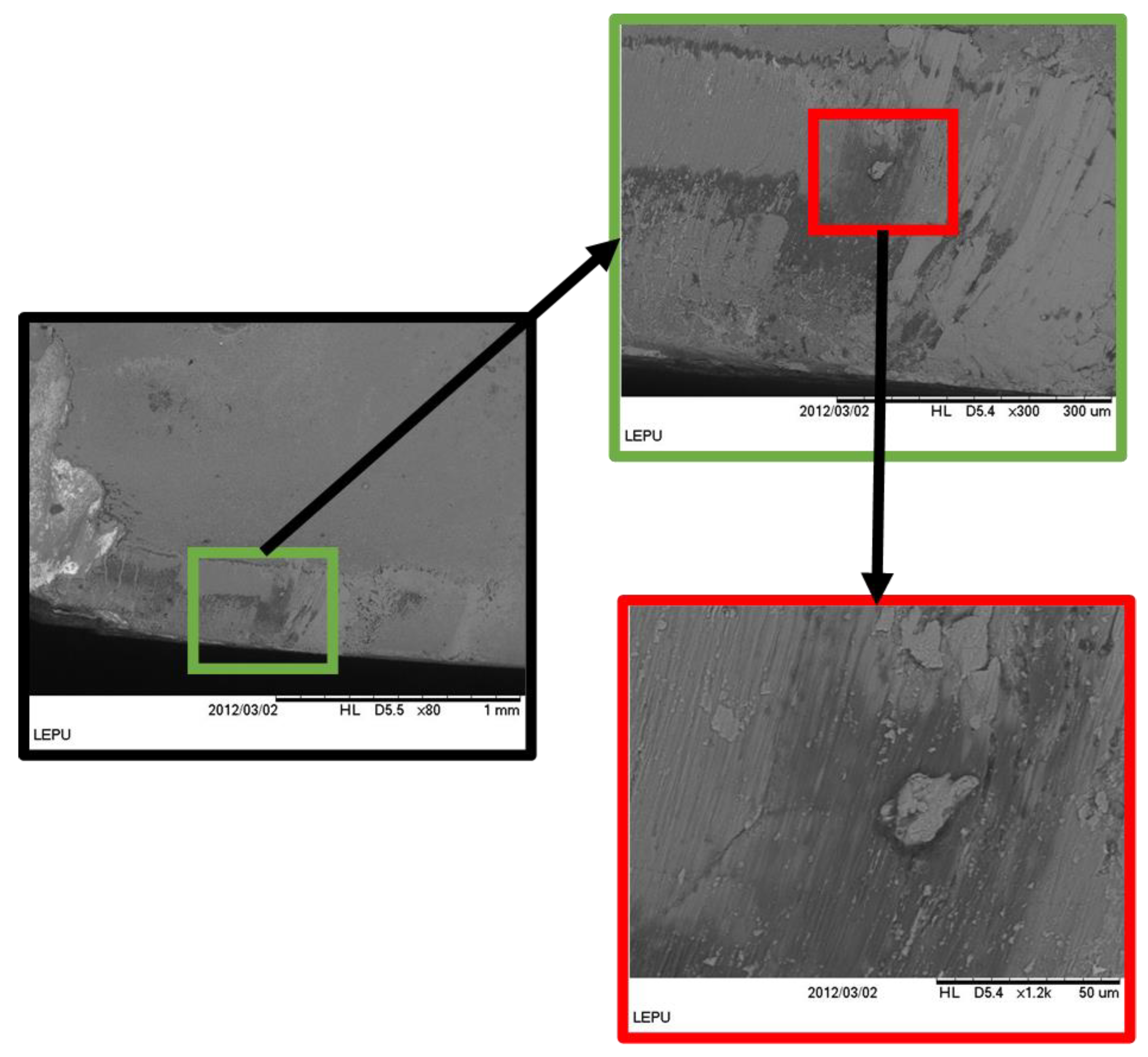 Lubricants 10 00309 g017