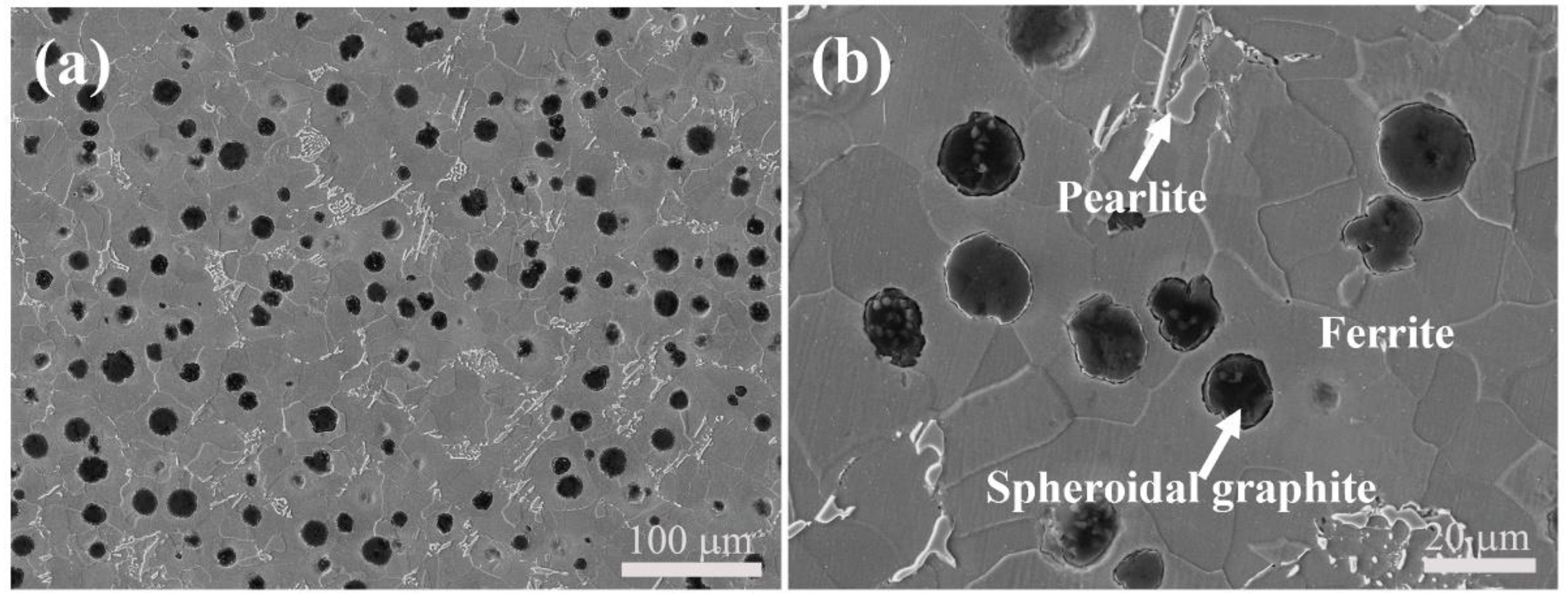 Lubricants 10 00326 g002