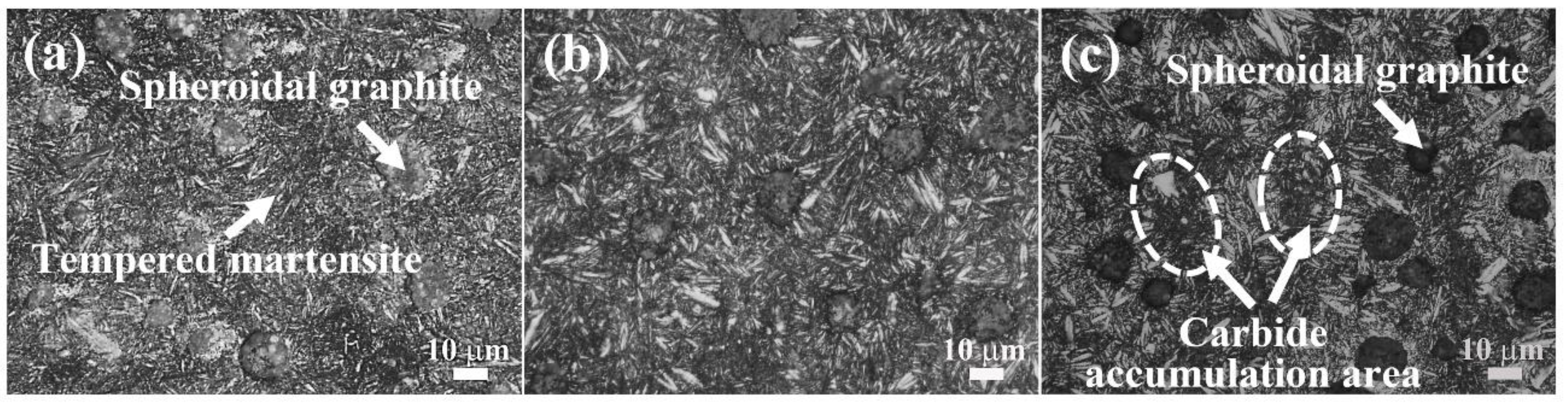 Lubricants 10 00326 g003