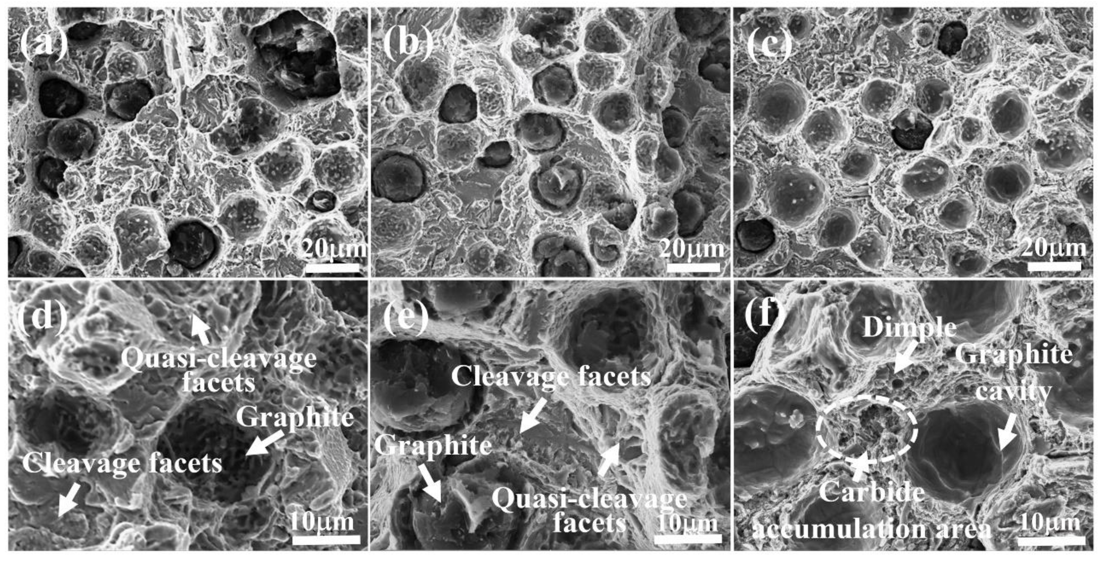 Lubricants 10 00326 g007