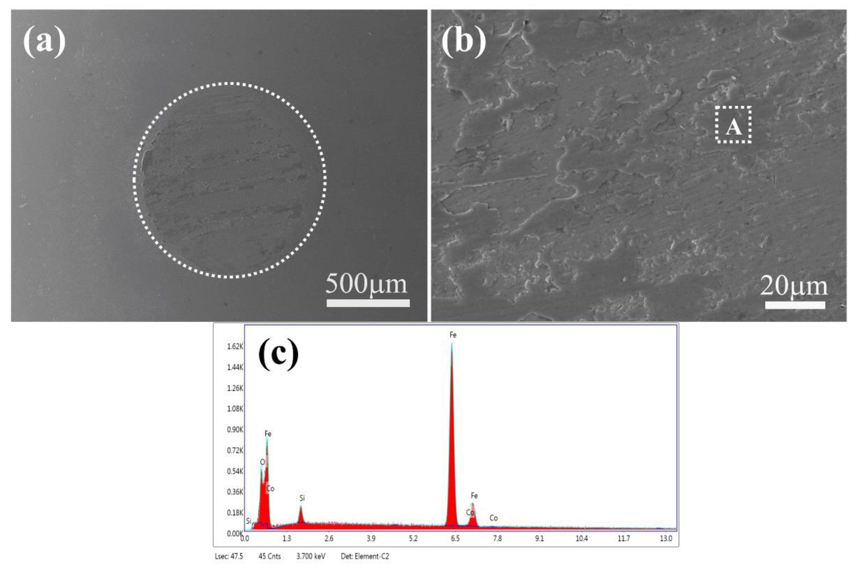 Lubricants 10 00326 g013
