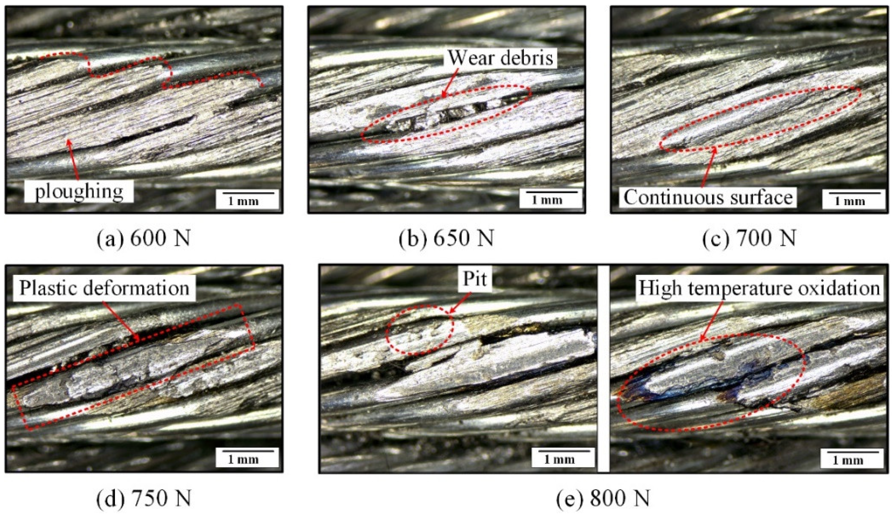 Lubricants 10 00337 g011