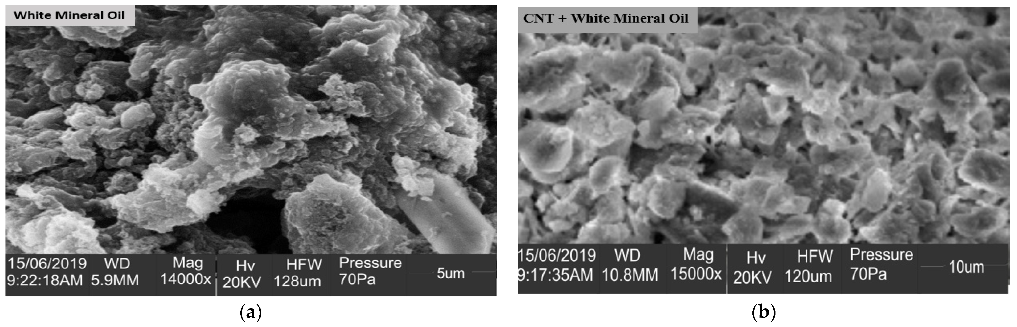 Lubricants 10 00341 g001 550