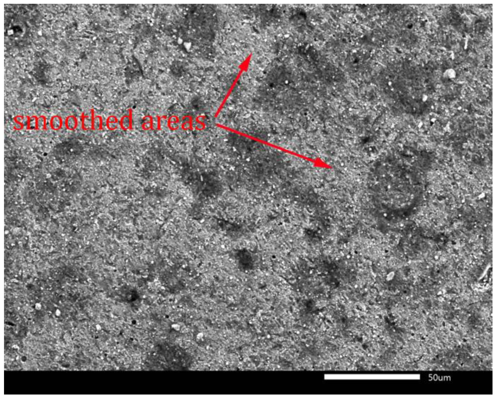 Lubricants 10 00342 g008