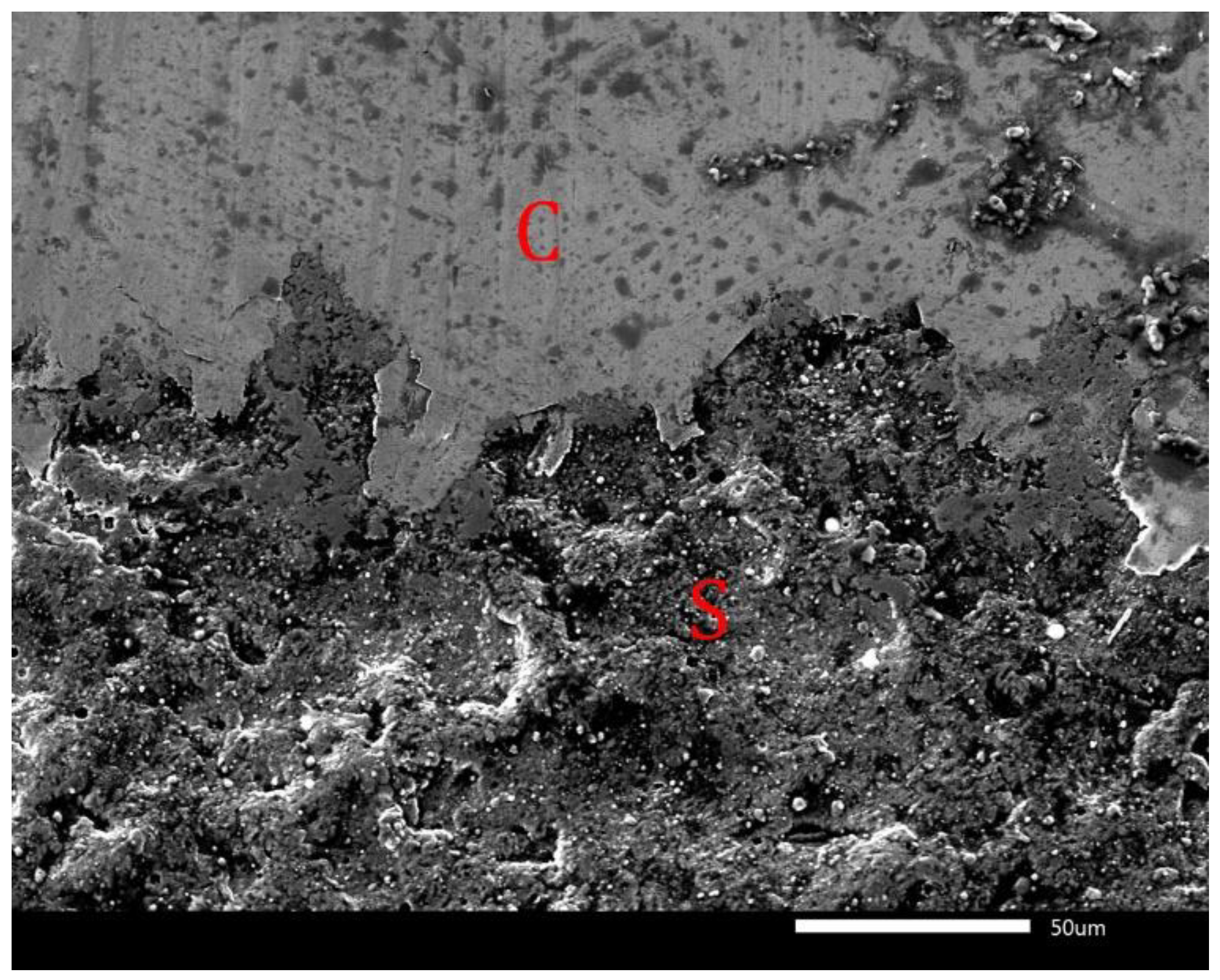 Lubricants 10 00342 g009