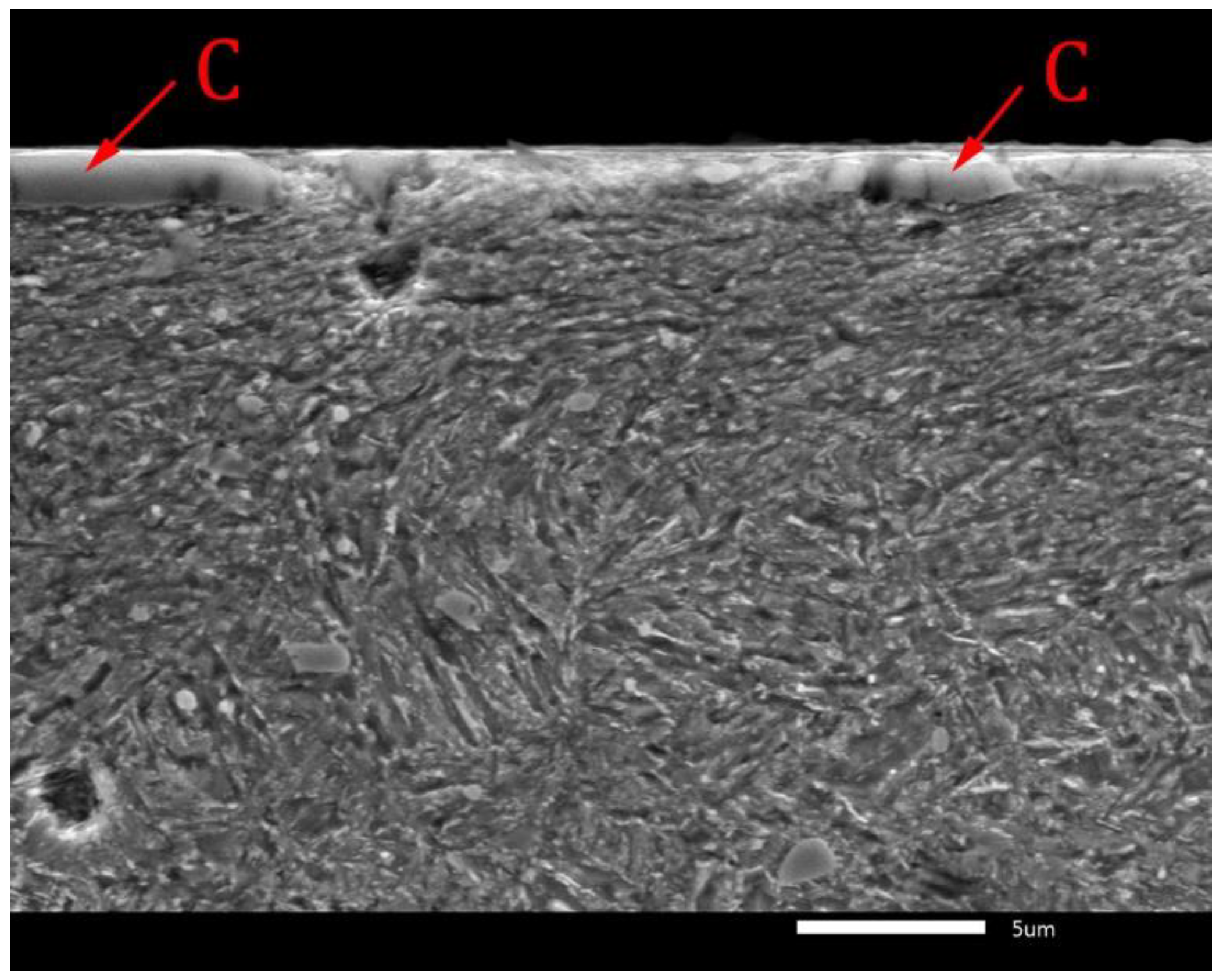 Lubricants 10 00342 g010