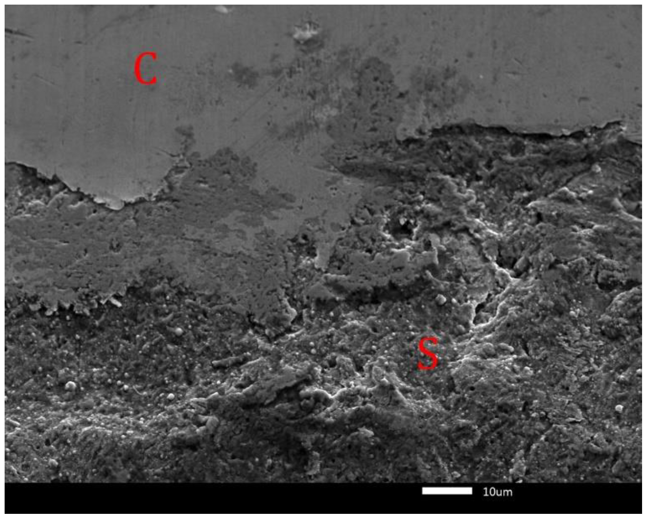 Lubricants 10 00342 g013