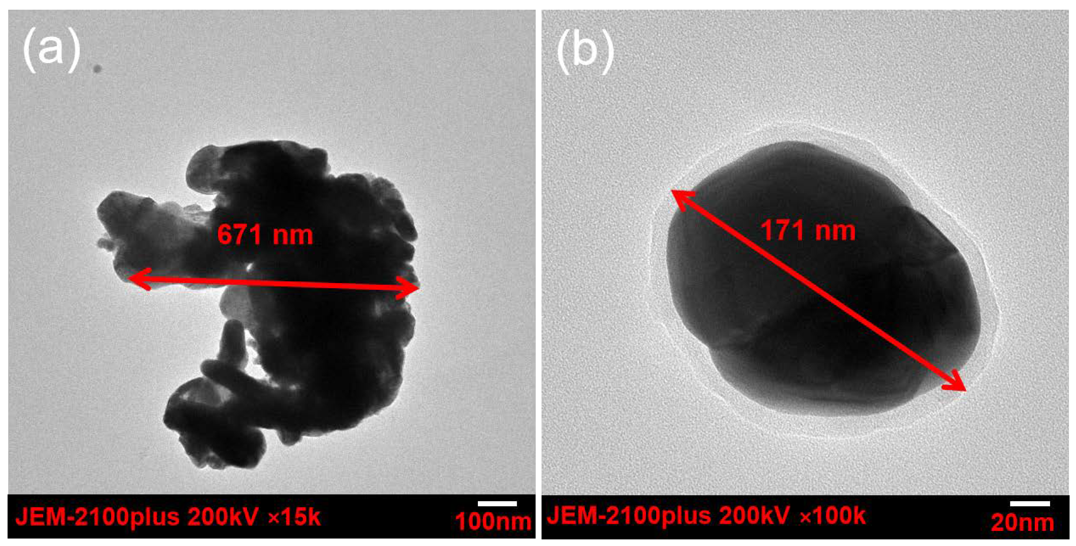 Lubricants 10 00343 g004