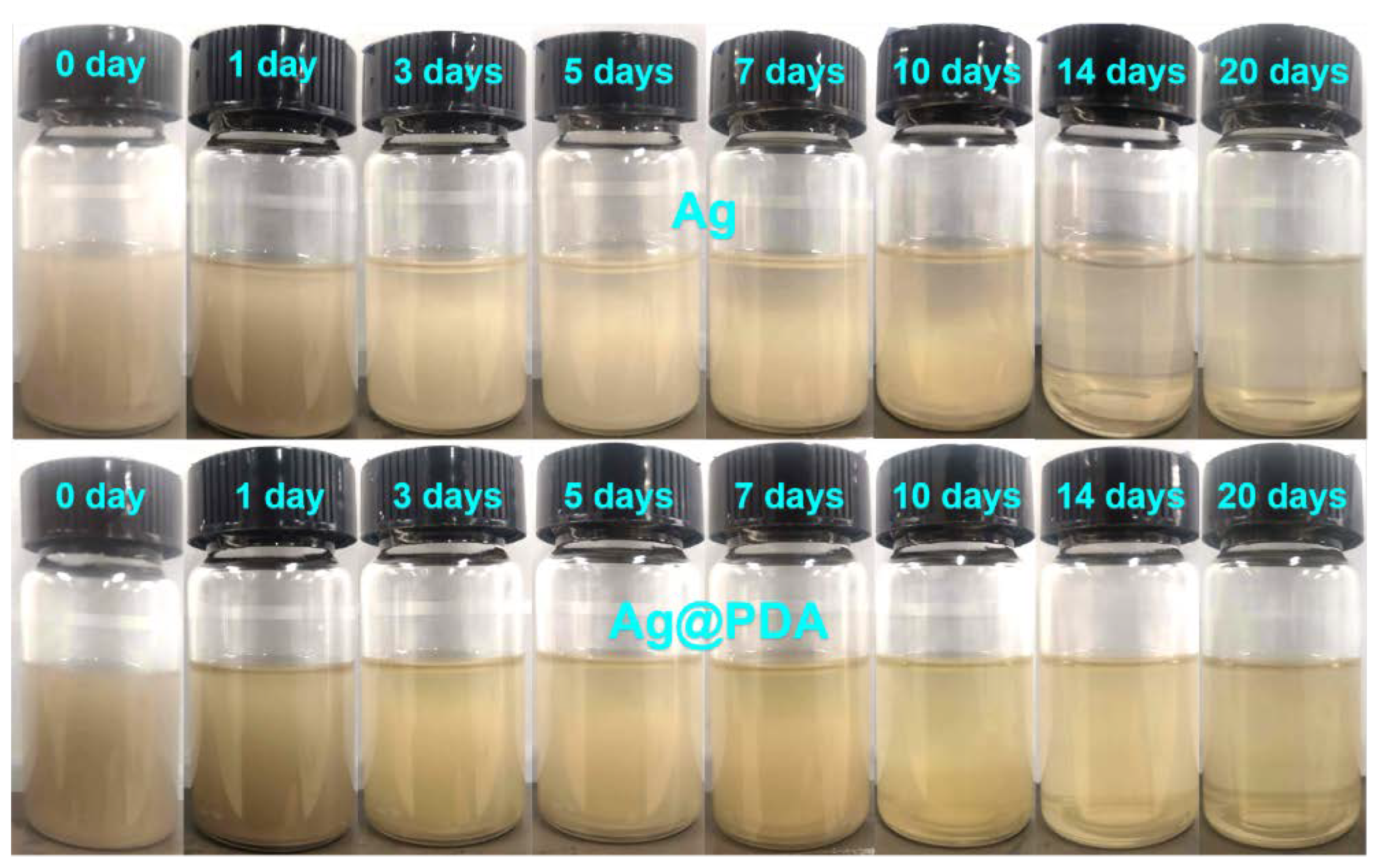 Lubricants 10 00343 g005