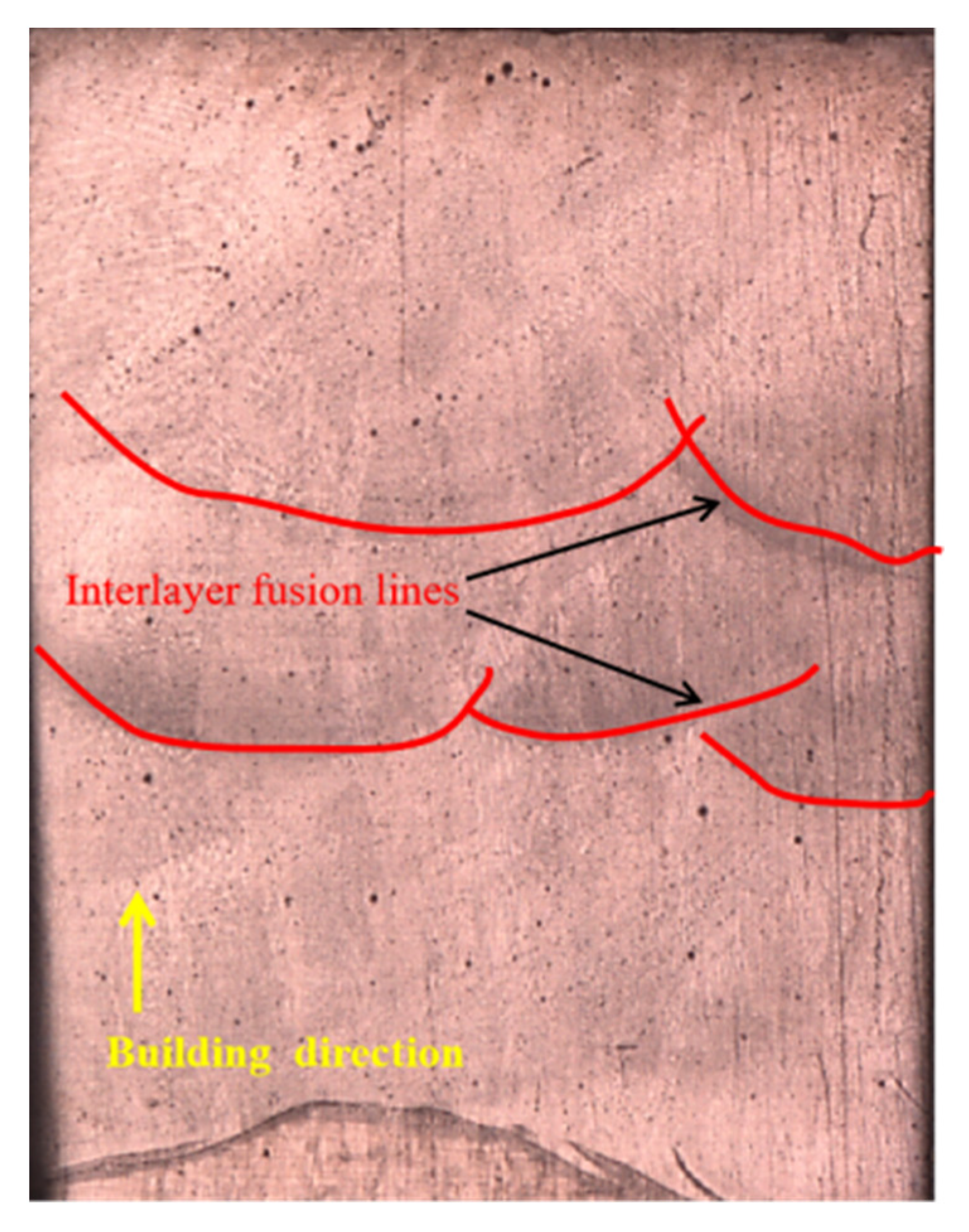 Lubricants 10 00344 g003