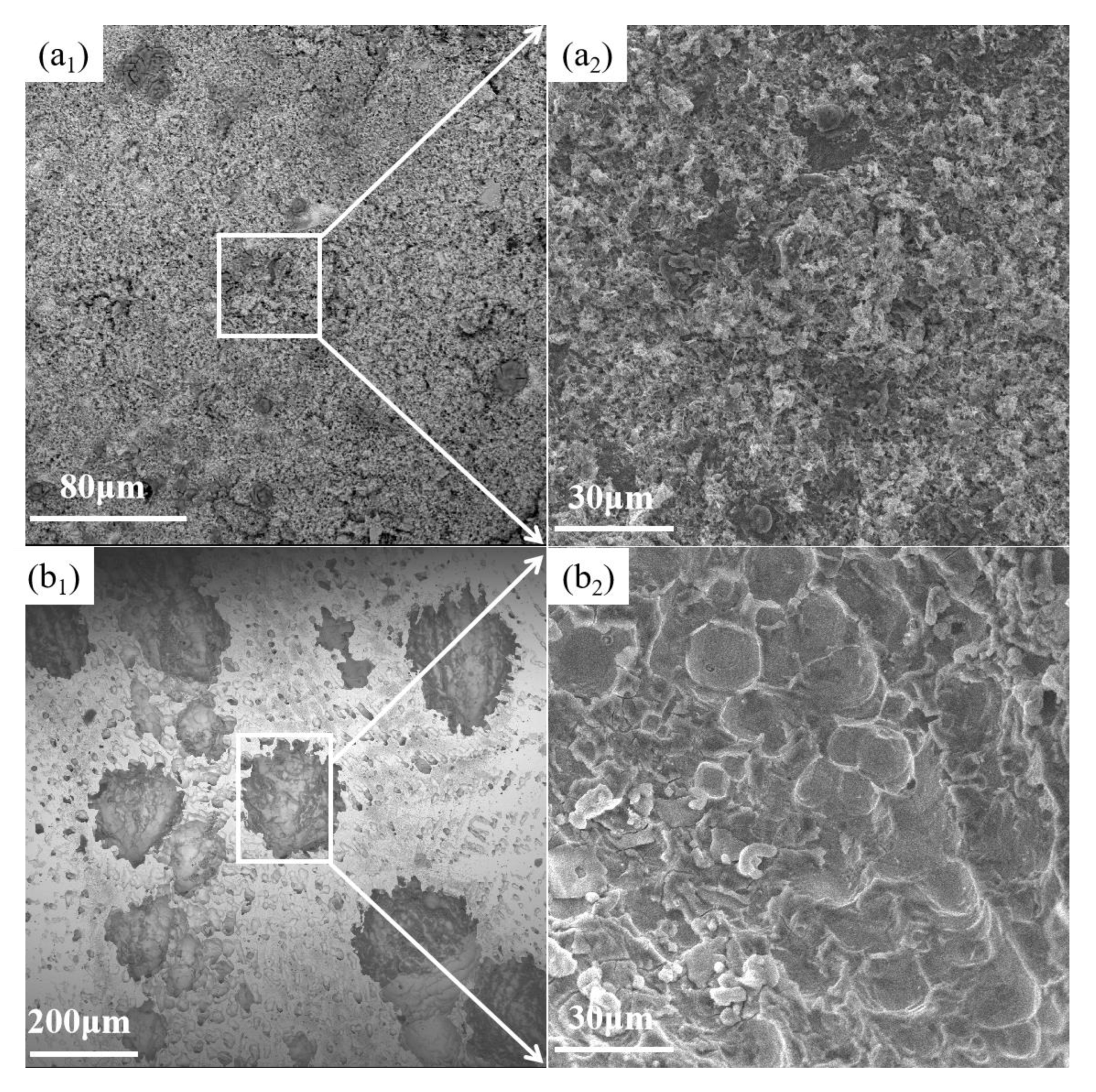 Lubricants 10 00344 g009