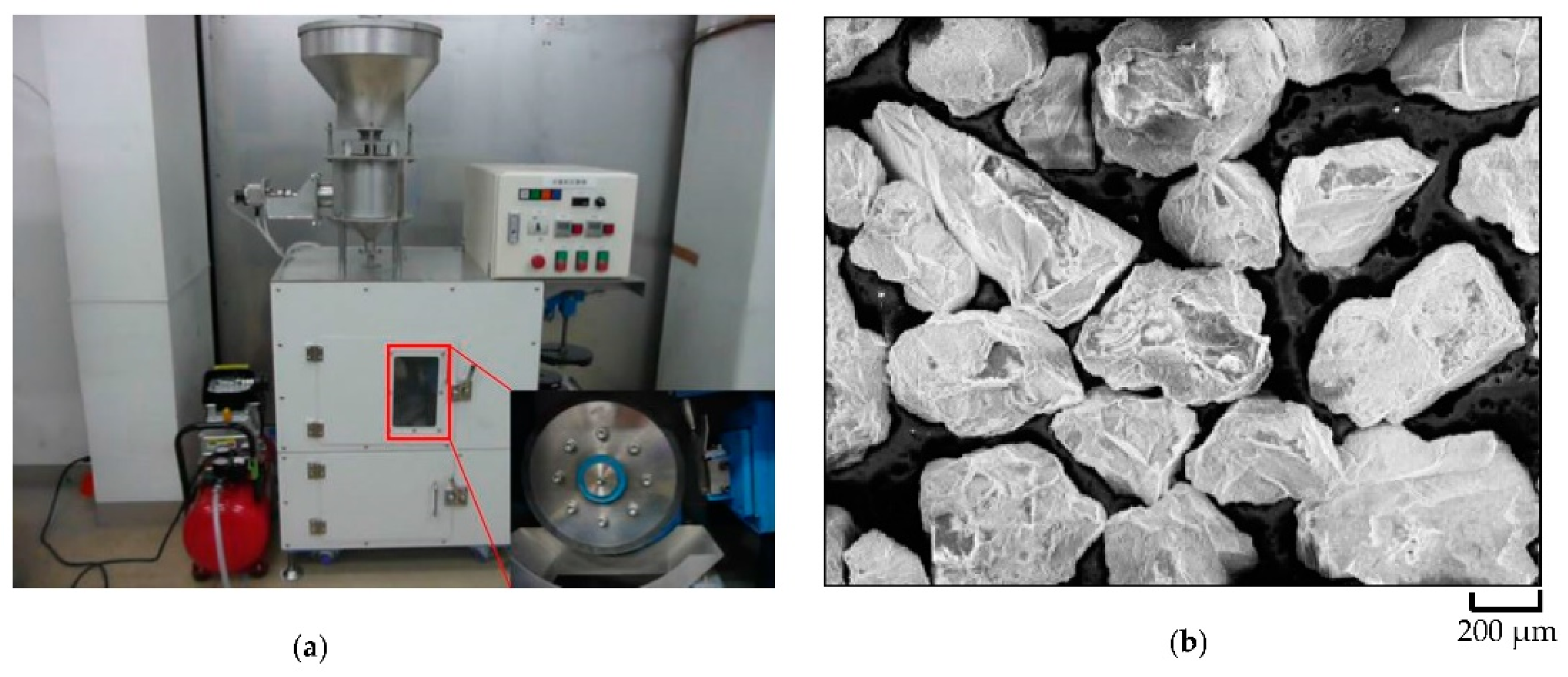 Lubricants 10 00348 g001