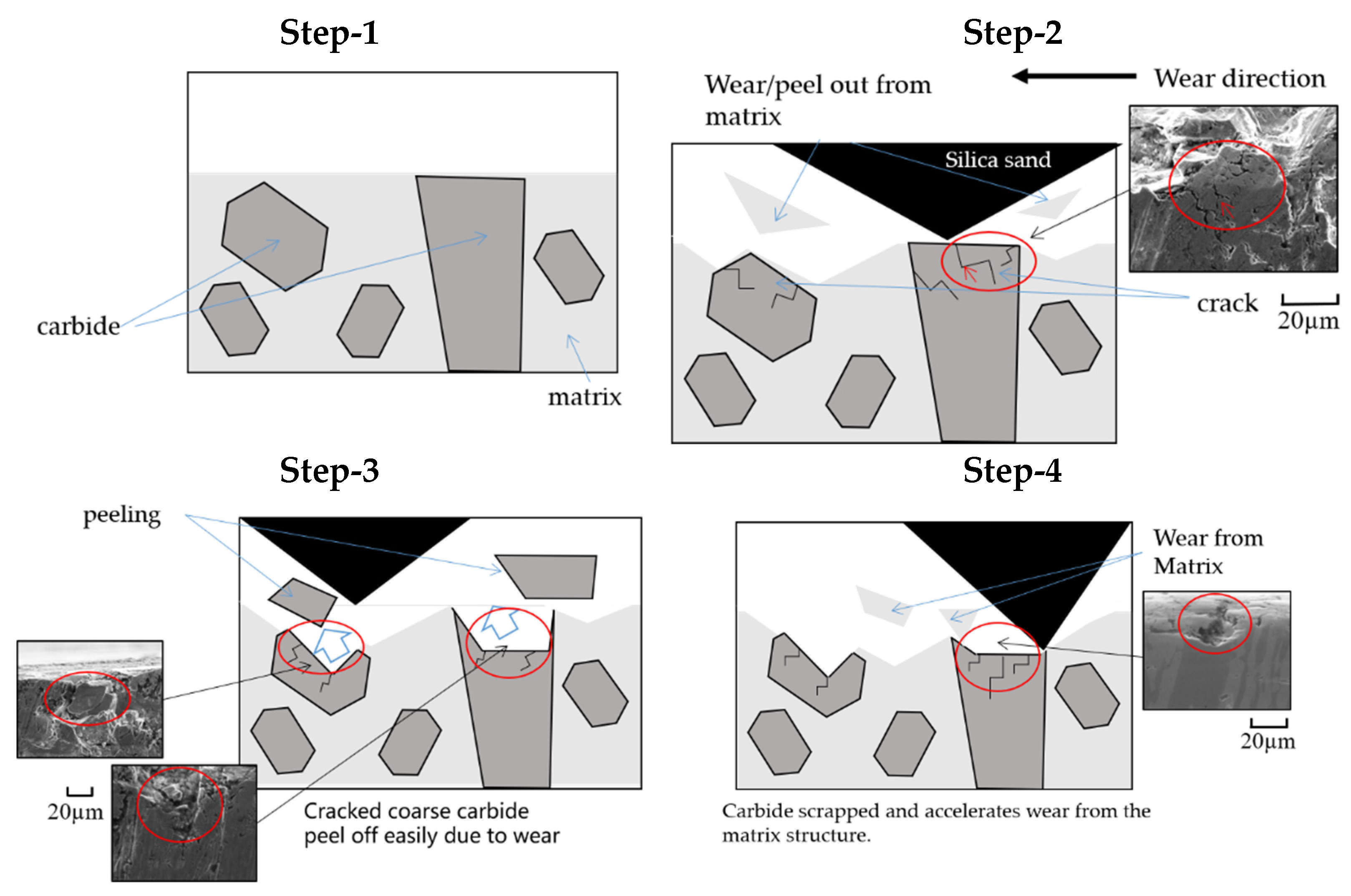 Lubricants 10 00348 g008