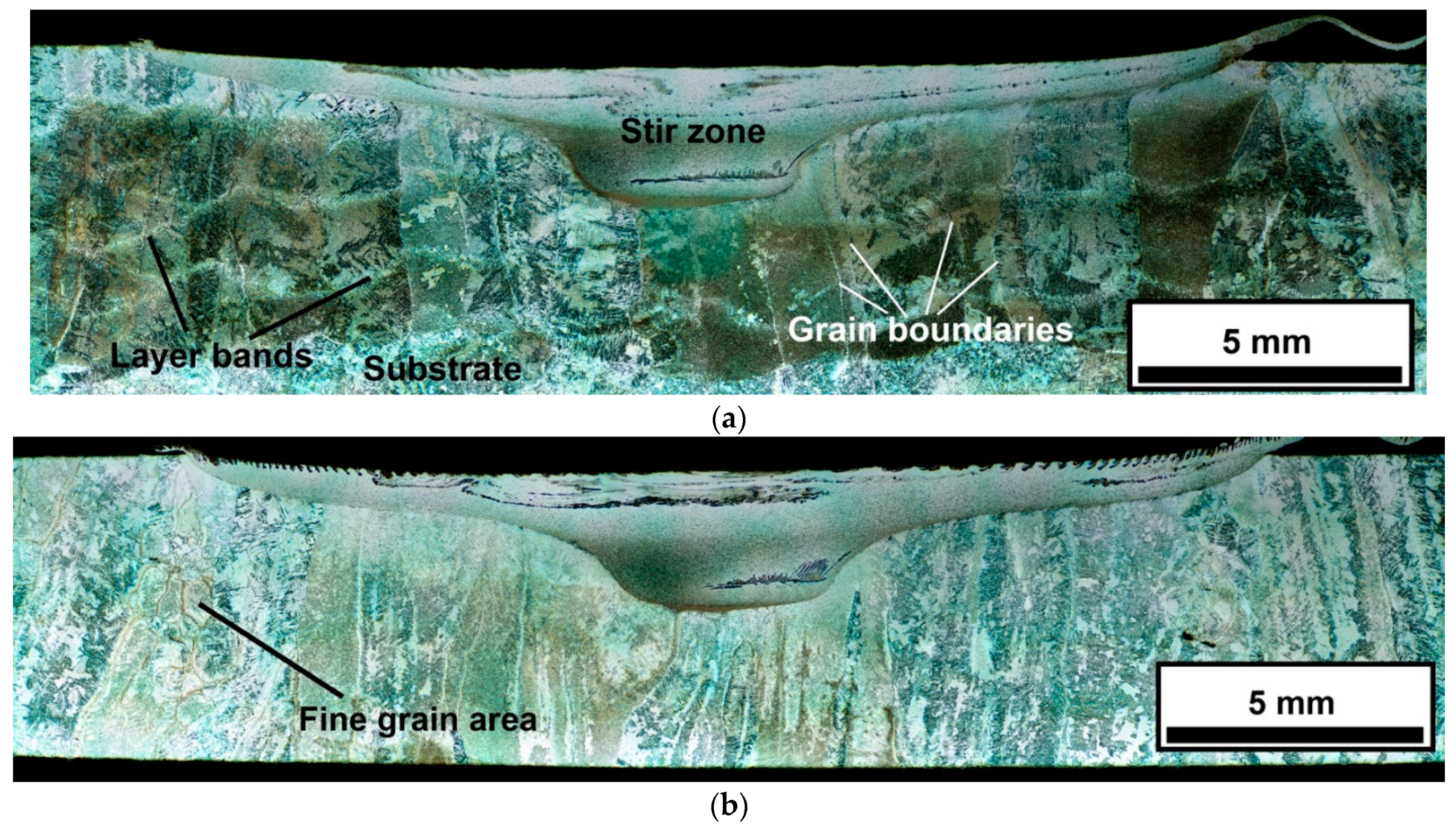 Lubricants 10 00349 g002