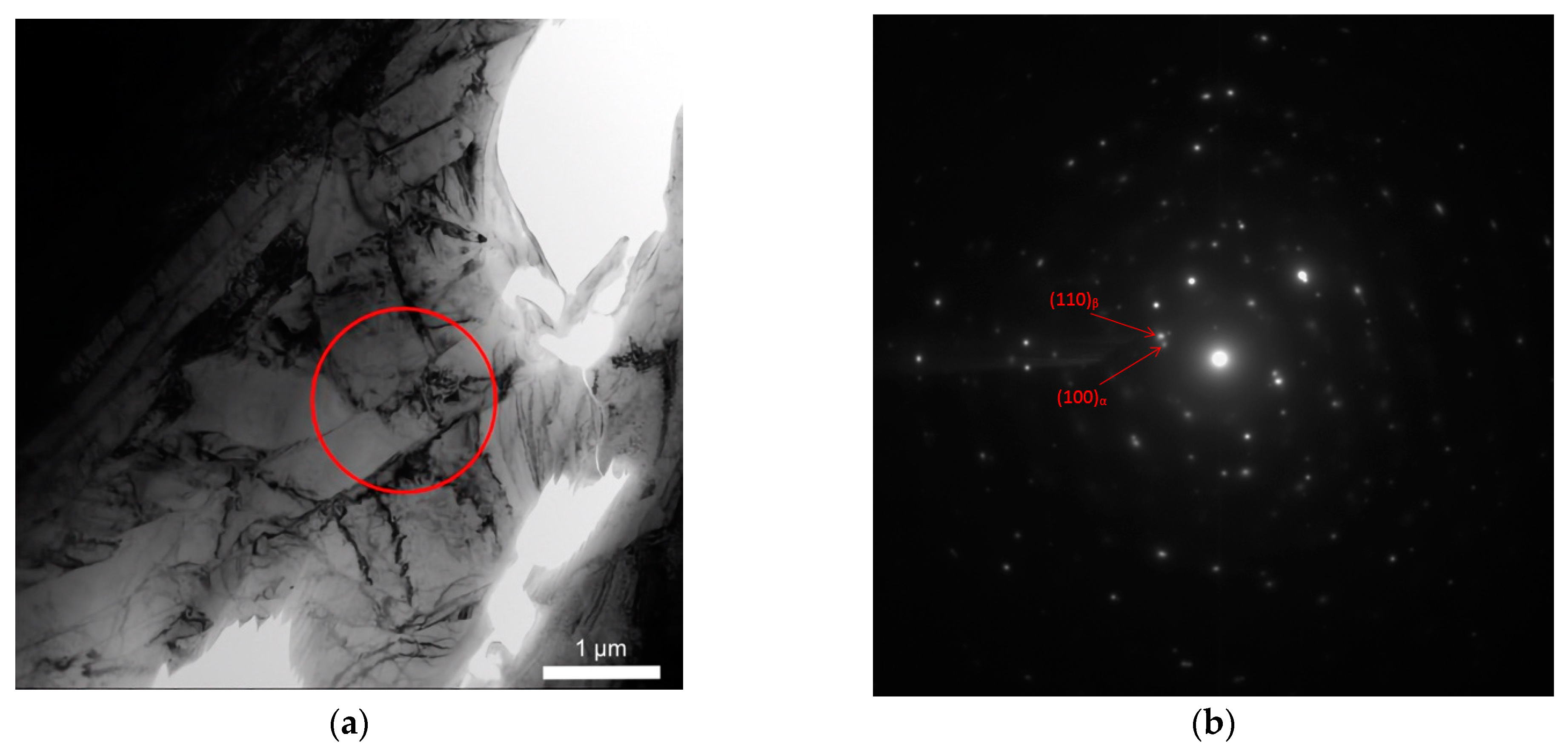 Lubricants 10 00349 g004a