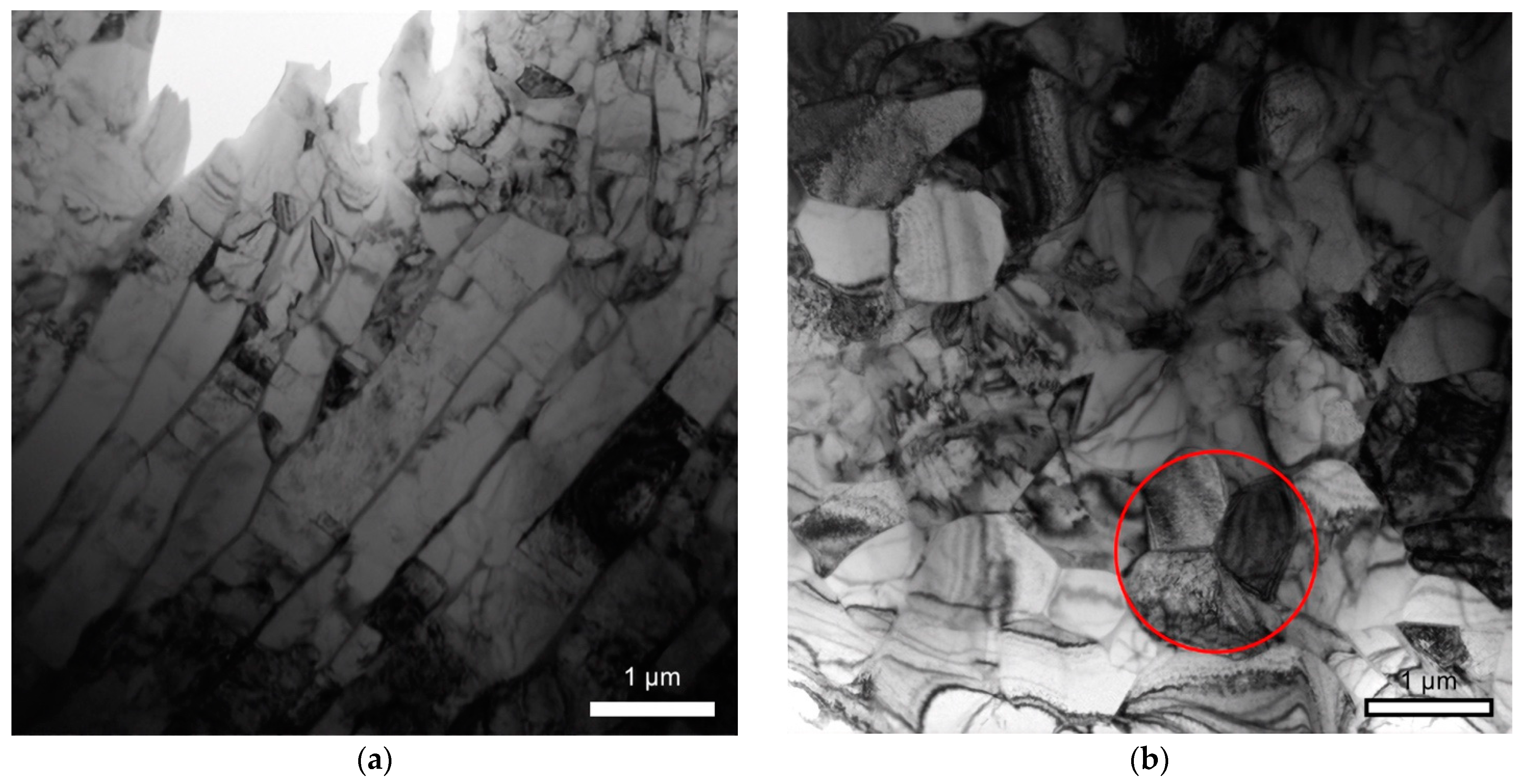 Lubricants 10 00349 g005a