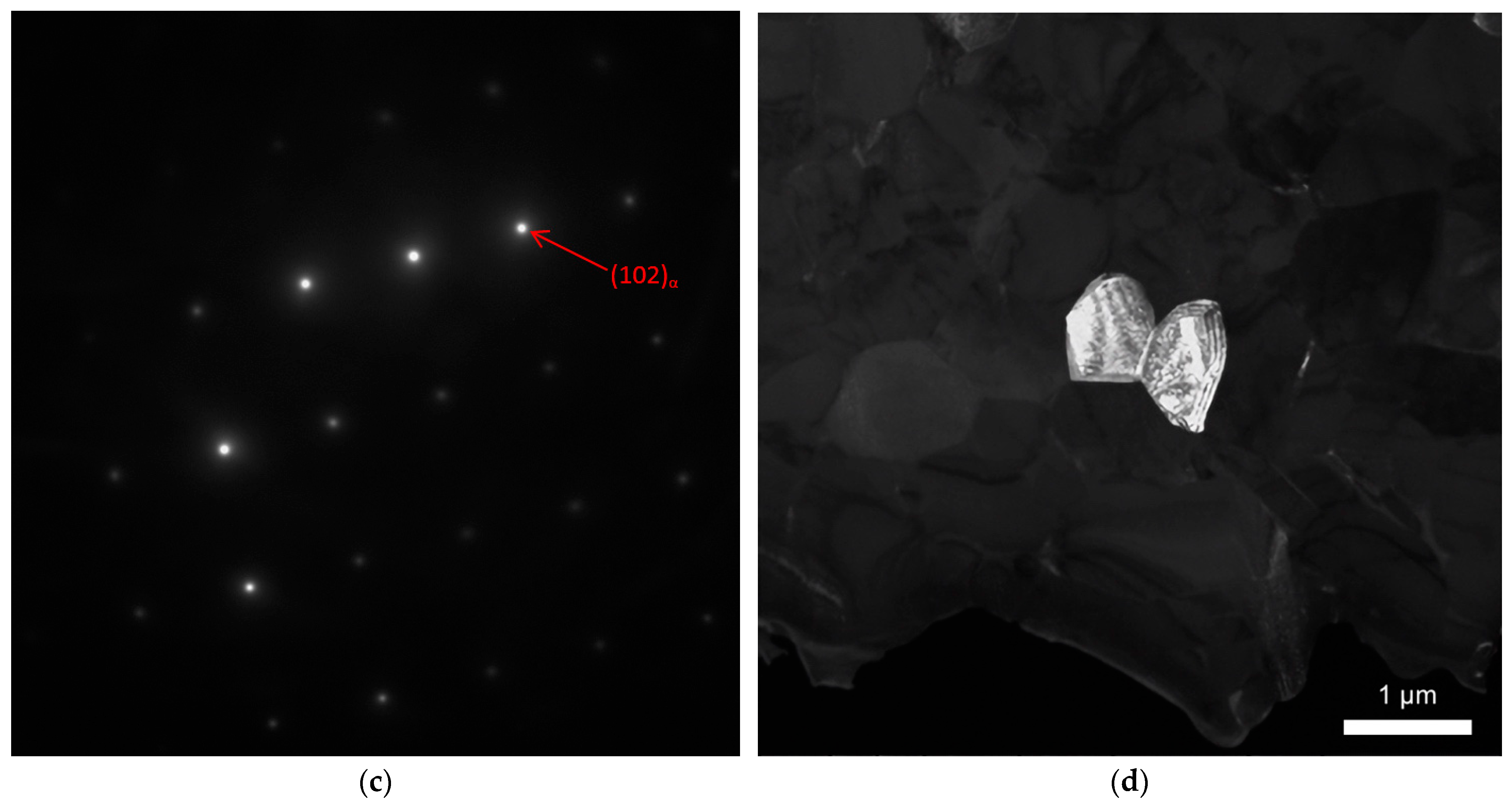 Lubricants 10 00349 g005b