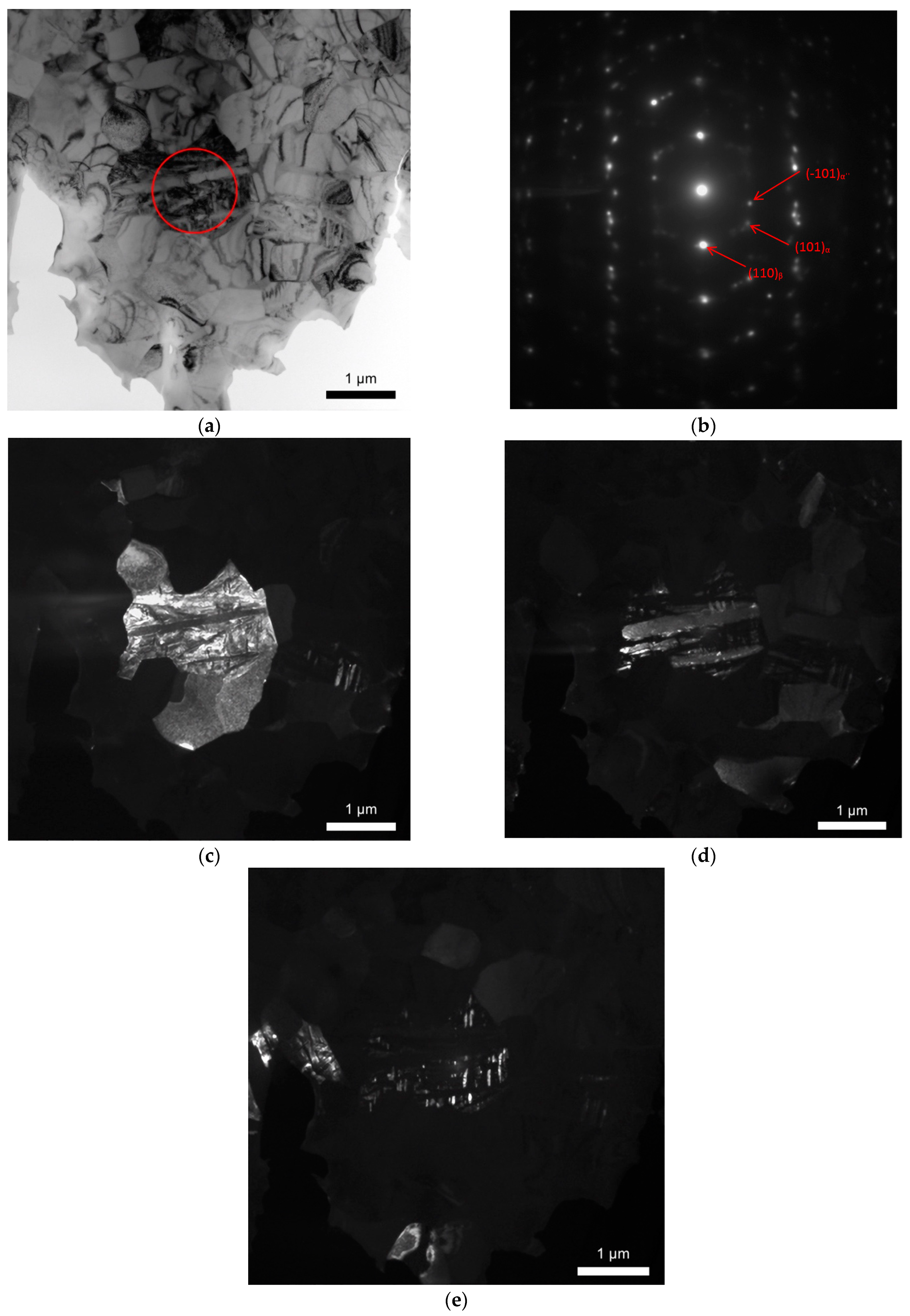 Lubricants 10 00349 g006