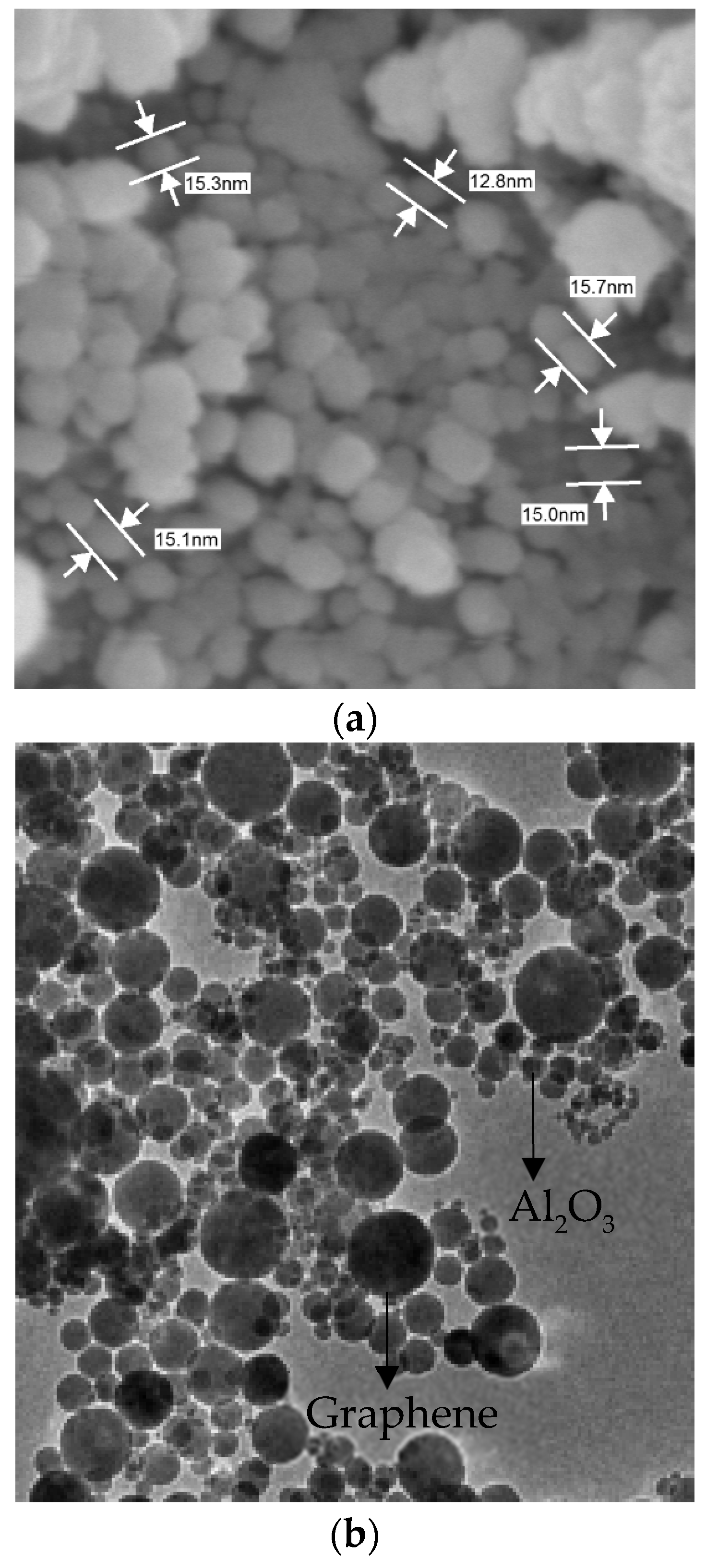 Lubricants 10 00350 g002 Lubricants 10 00350 g002