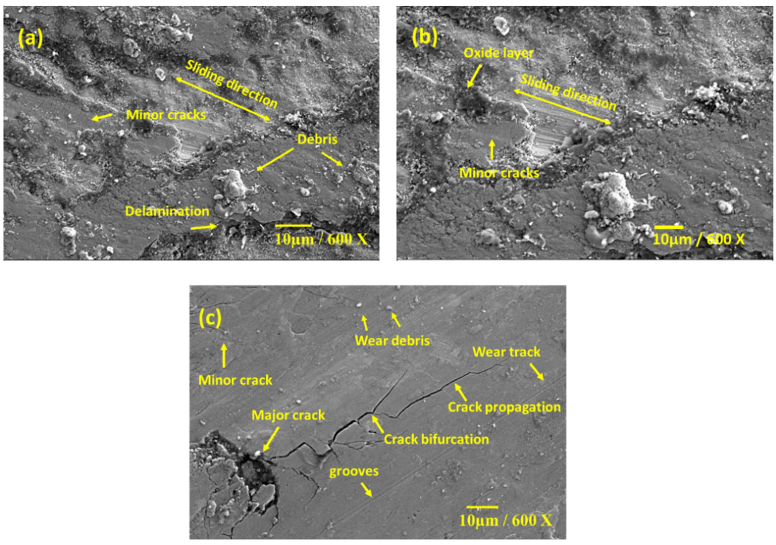 Lubricants 10 00351 g014 550