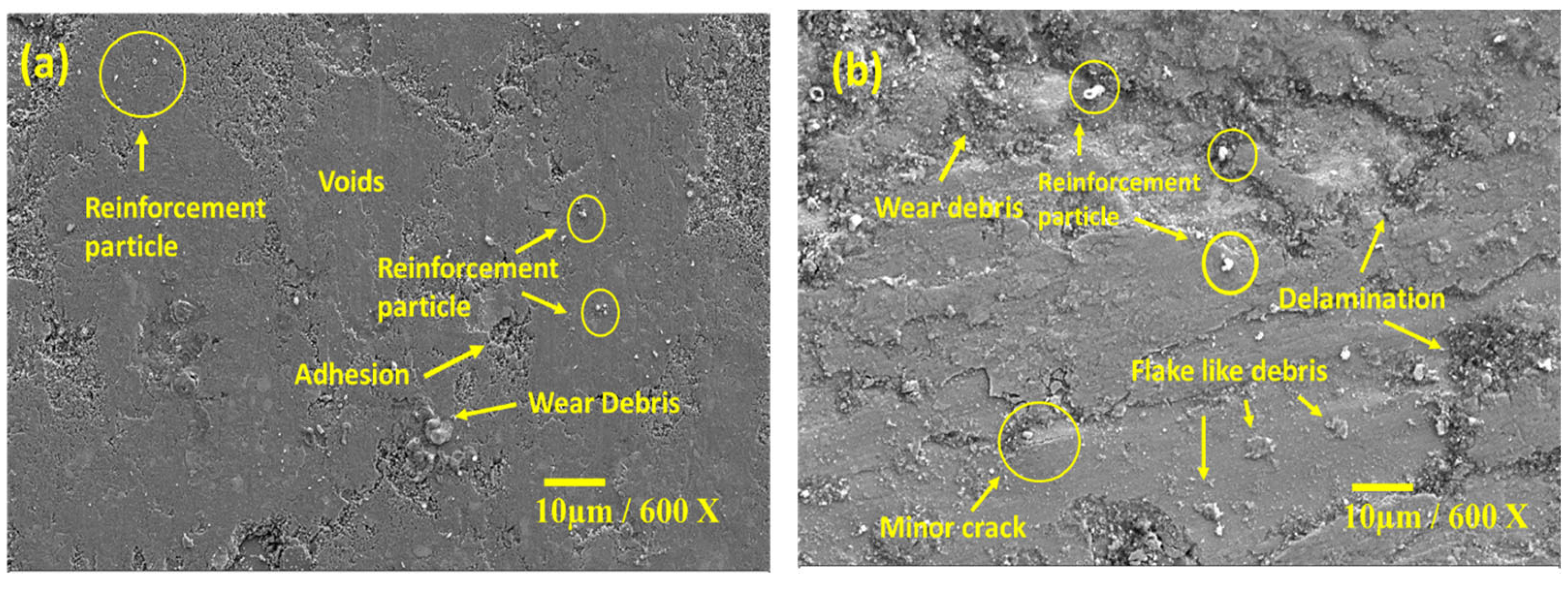 Lubricants 10 00351 g015 550