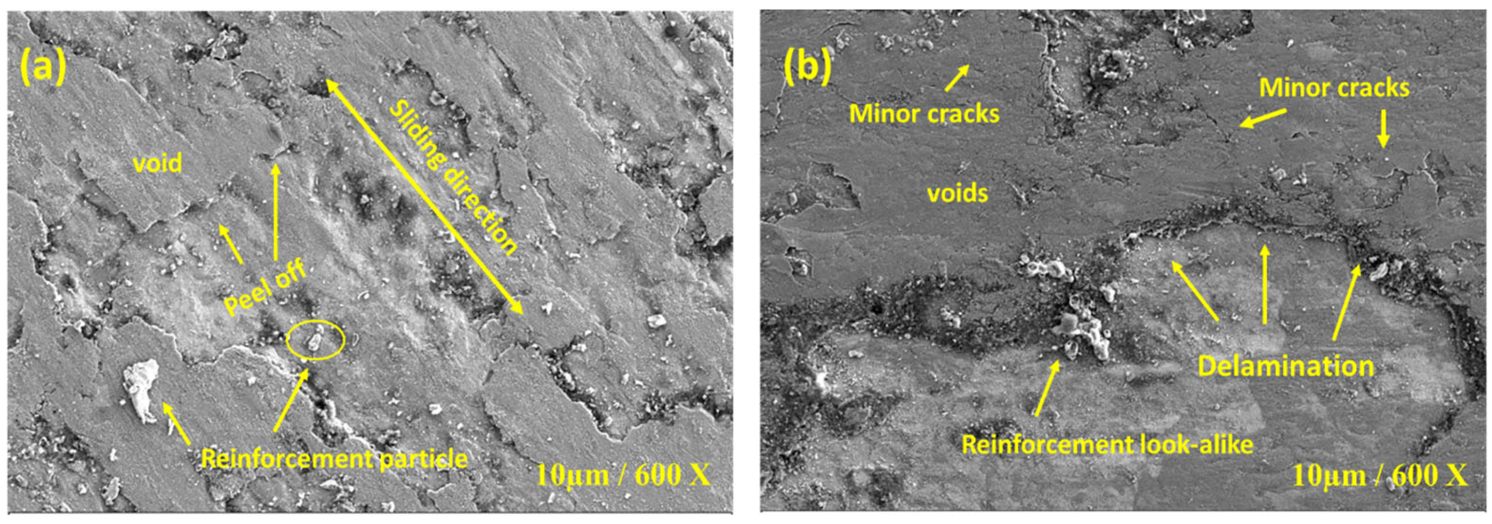 Lubricants 10 00351 g016 550
