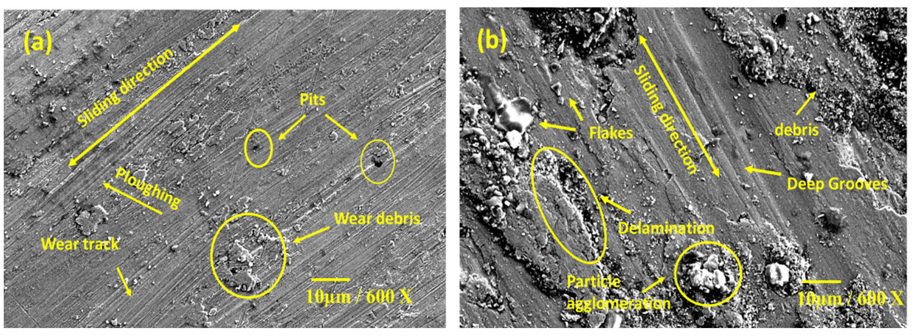 Lubricants 10 00351 g017 550