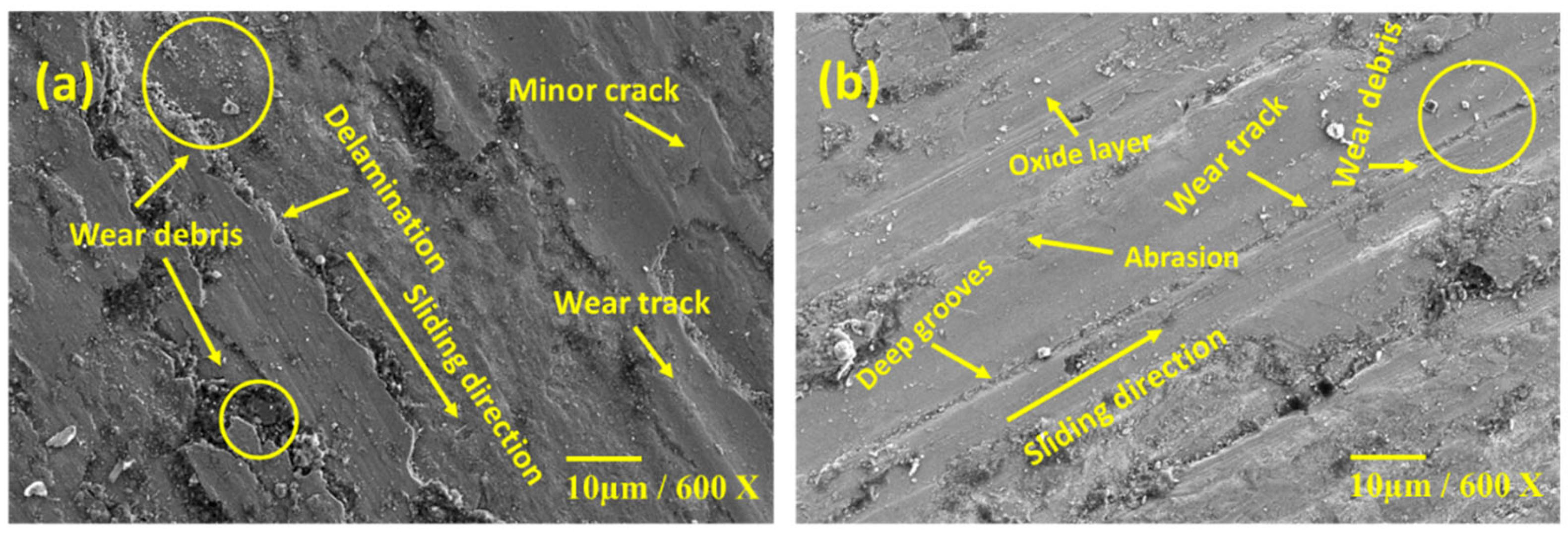 Lubricants 10 00351 g018 550