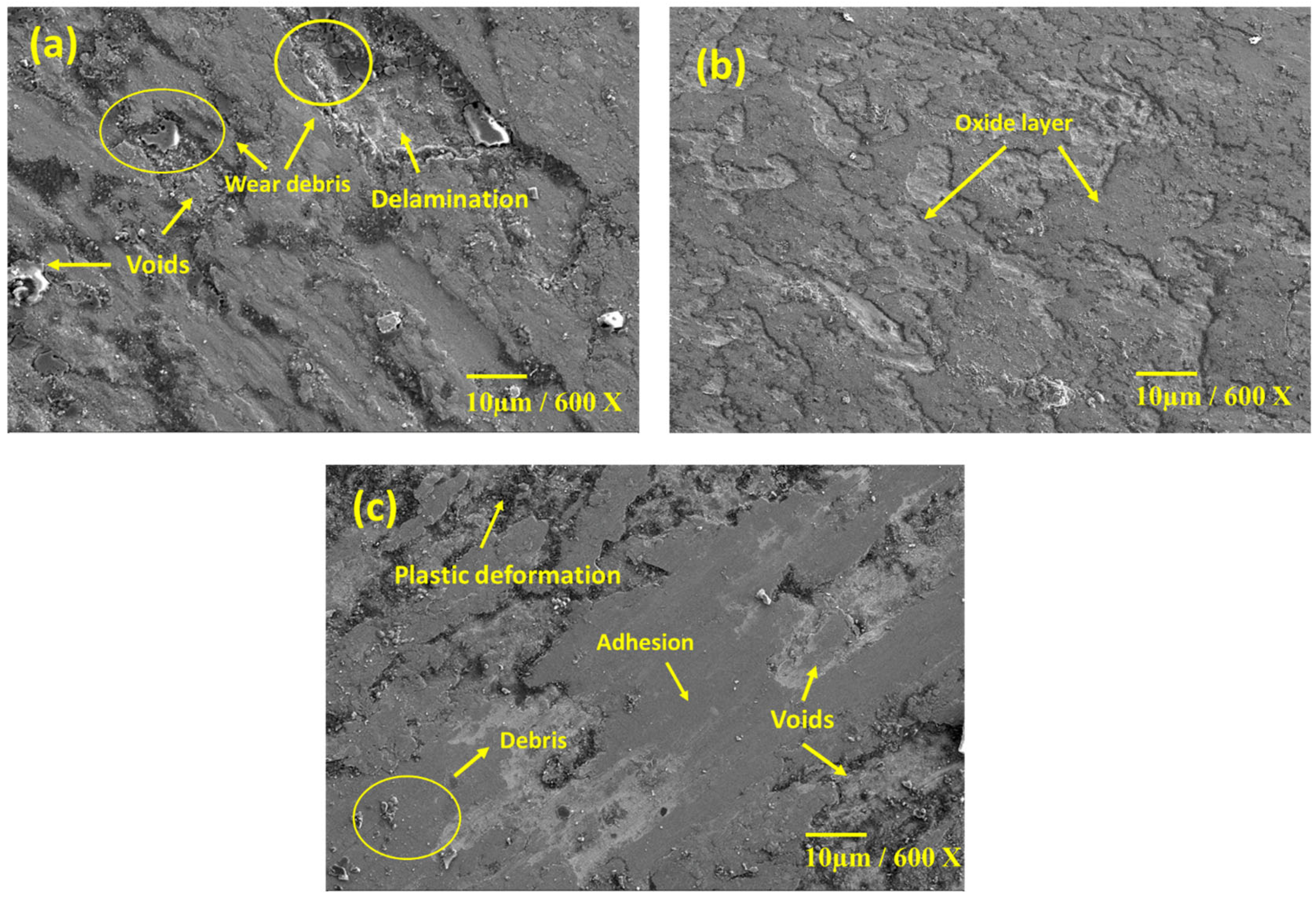 Lubricants 10 00351 g019 550