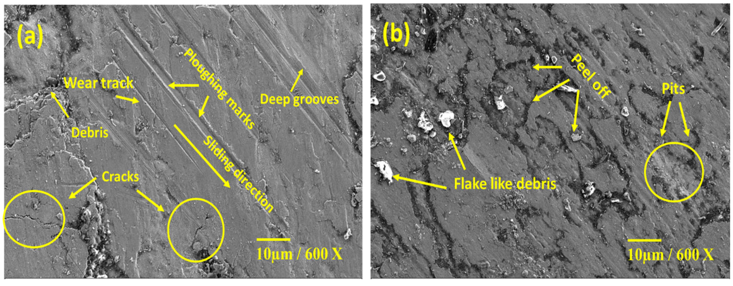 Lubricants 10 00351 g020 550