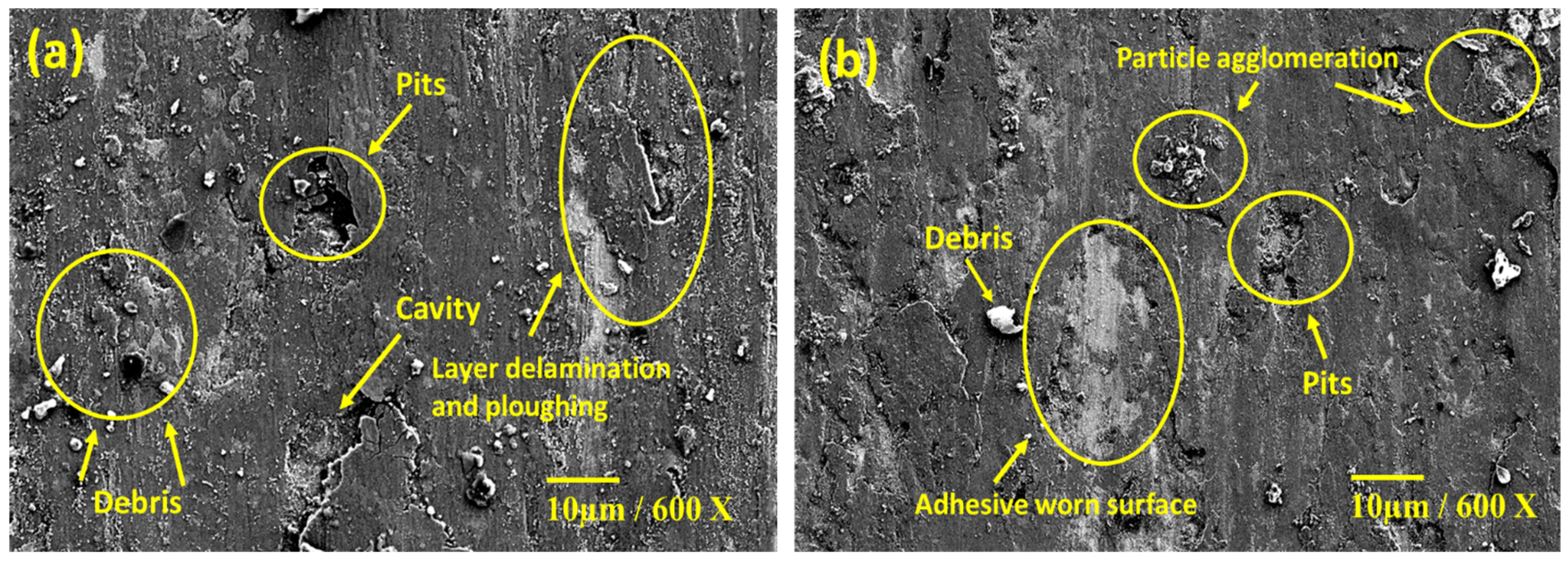 Lubricants 10 00351 g021 550